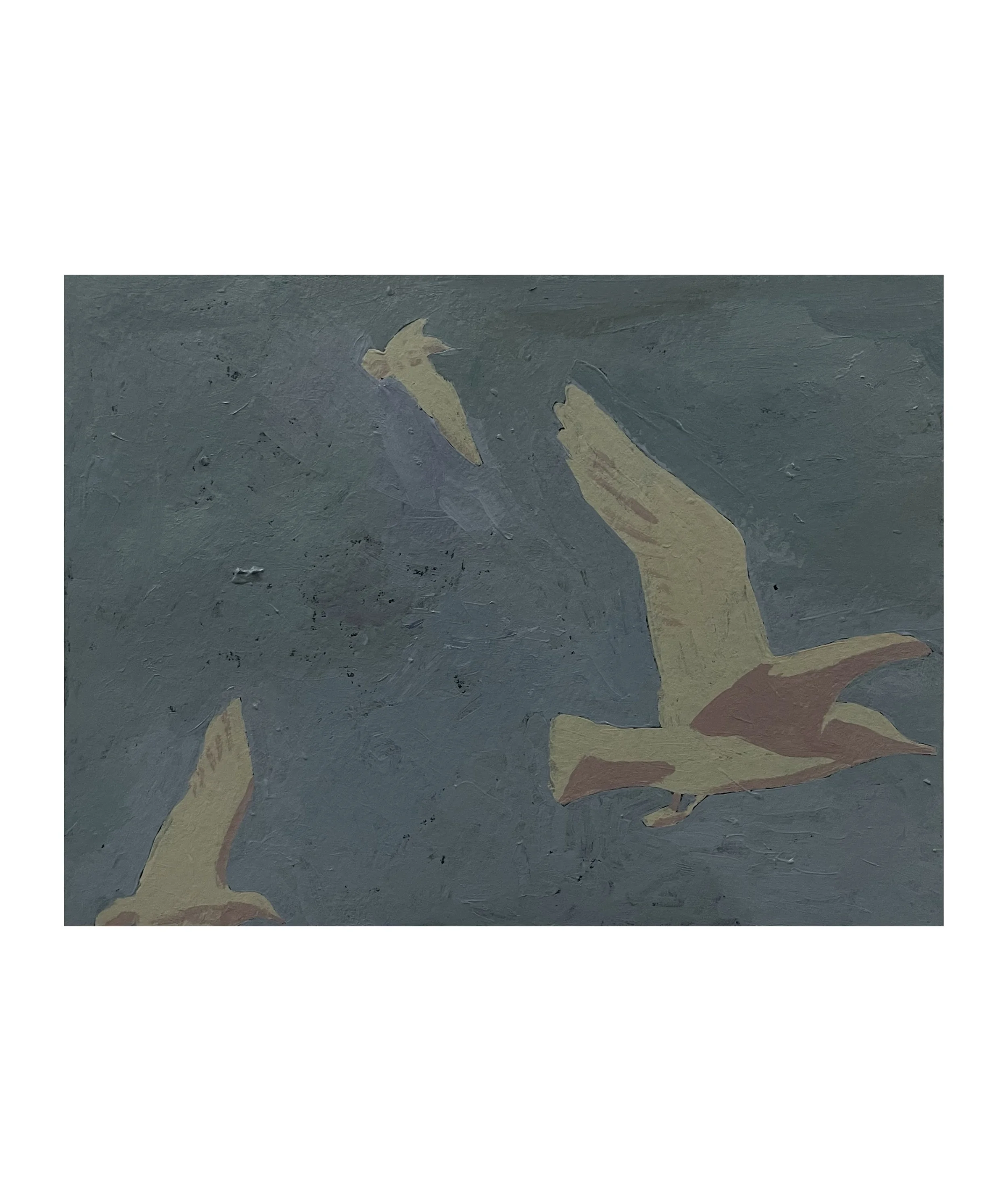 Shaza _ Gulls - Shaza Umran.JPG