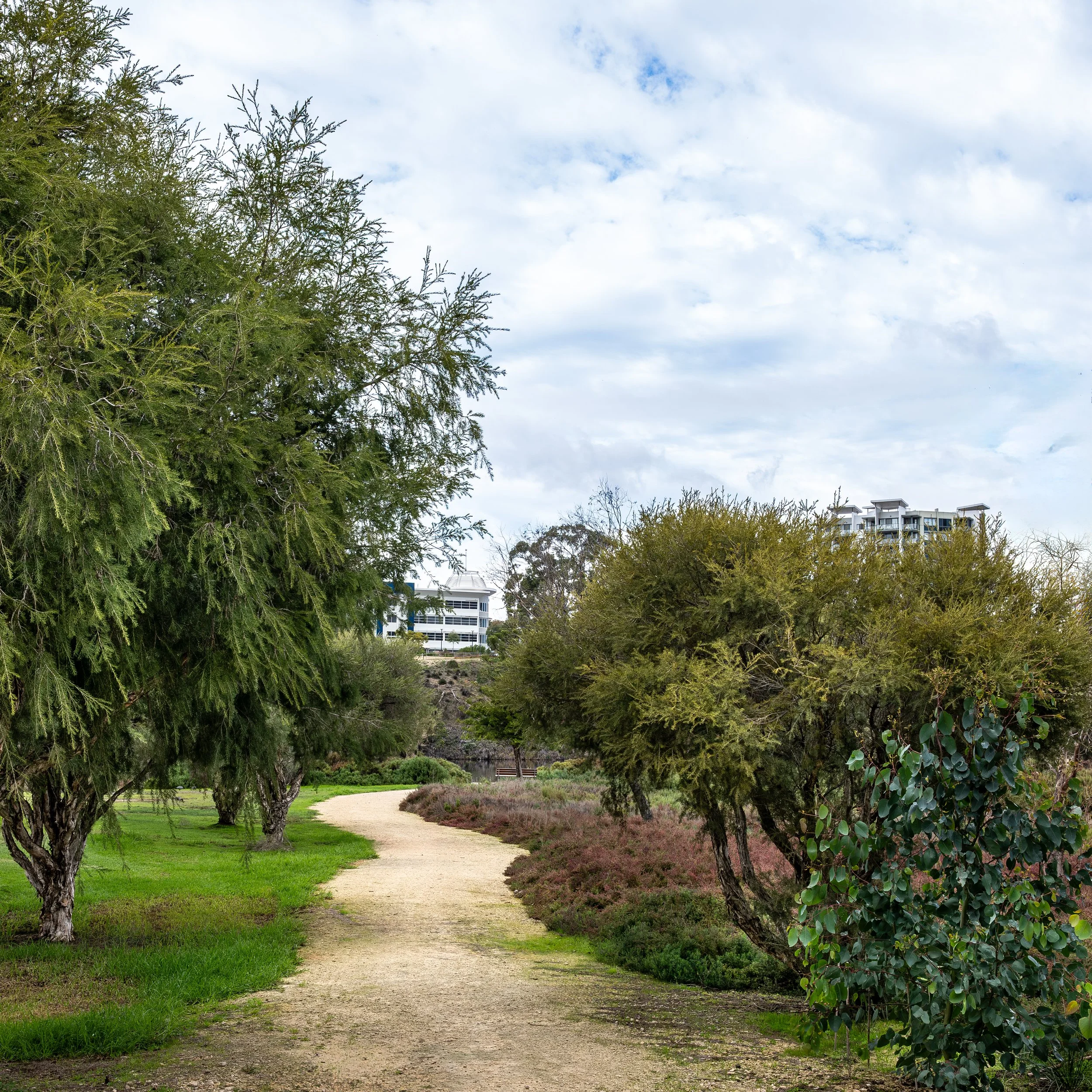 L1030356-Edit.jpg