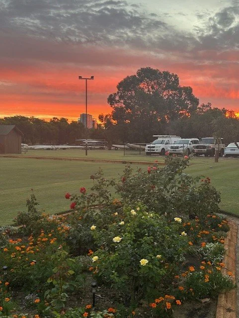 sunset over rose garden.jpg