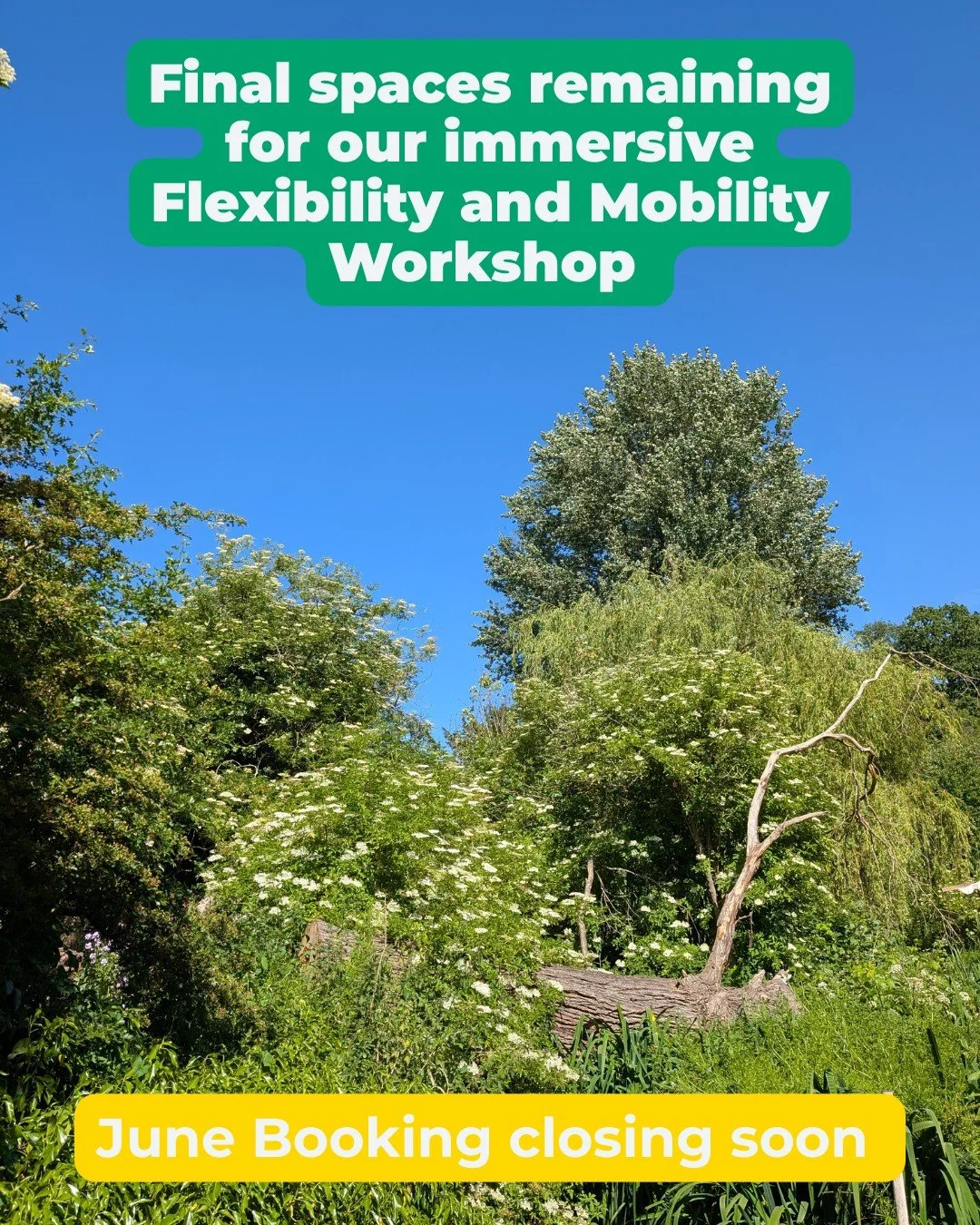Final mats available for this weekend 🏔️🌿
Your opportunity for a complete reset arrives this weekend.

We have just two spaces remaining for our immersive Flexibility and Mobility Workshop with Chloe and Tom.

This extended session draws deeply fro