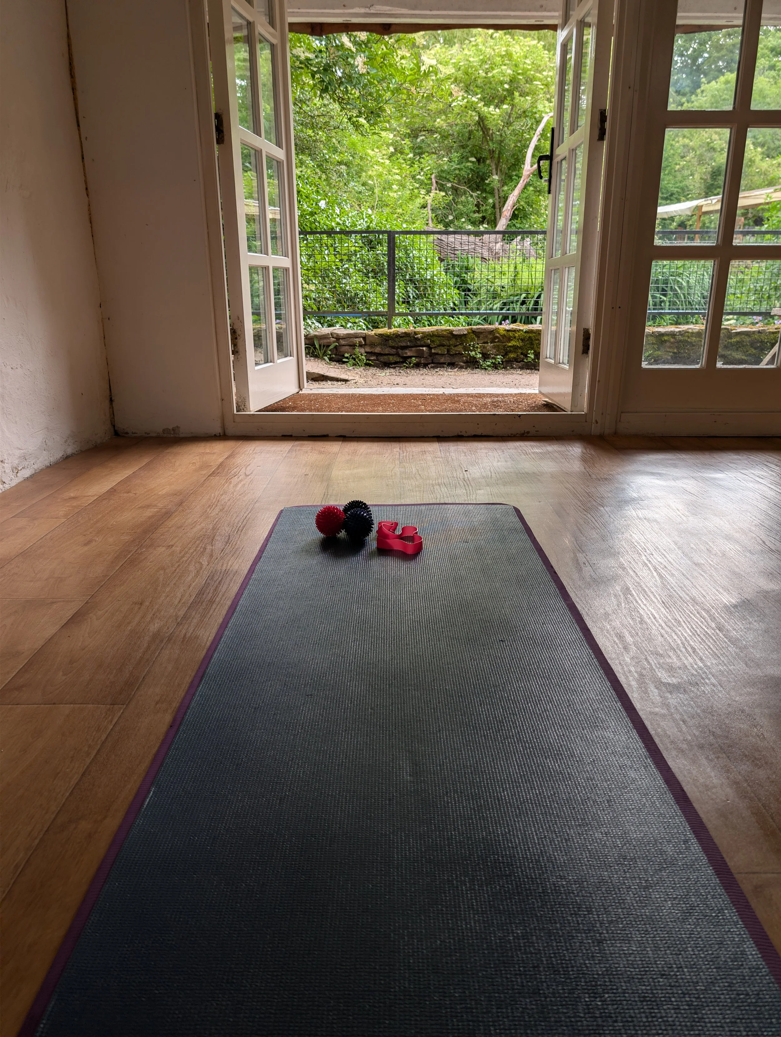 Open glass door leading outside to a lush green garden with trees and plants, with a stone border and black metal fence, view from inside a room with wooden flooring and a yoga mat with exercise balls and resistance bands.