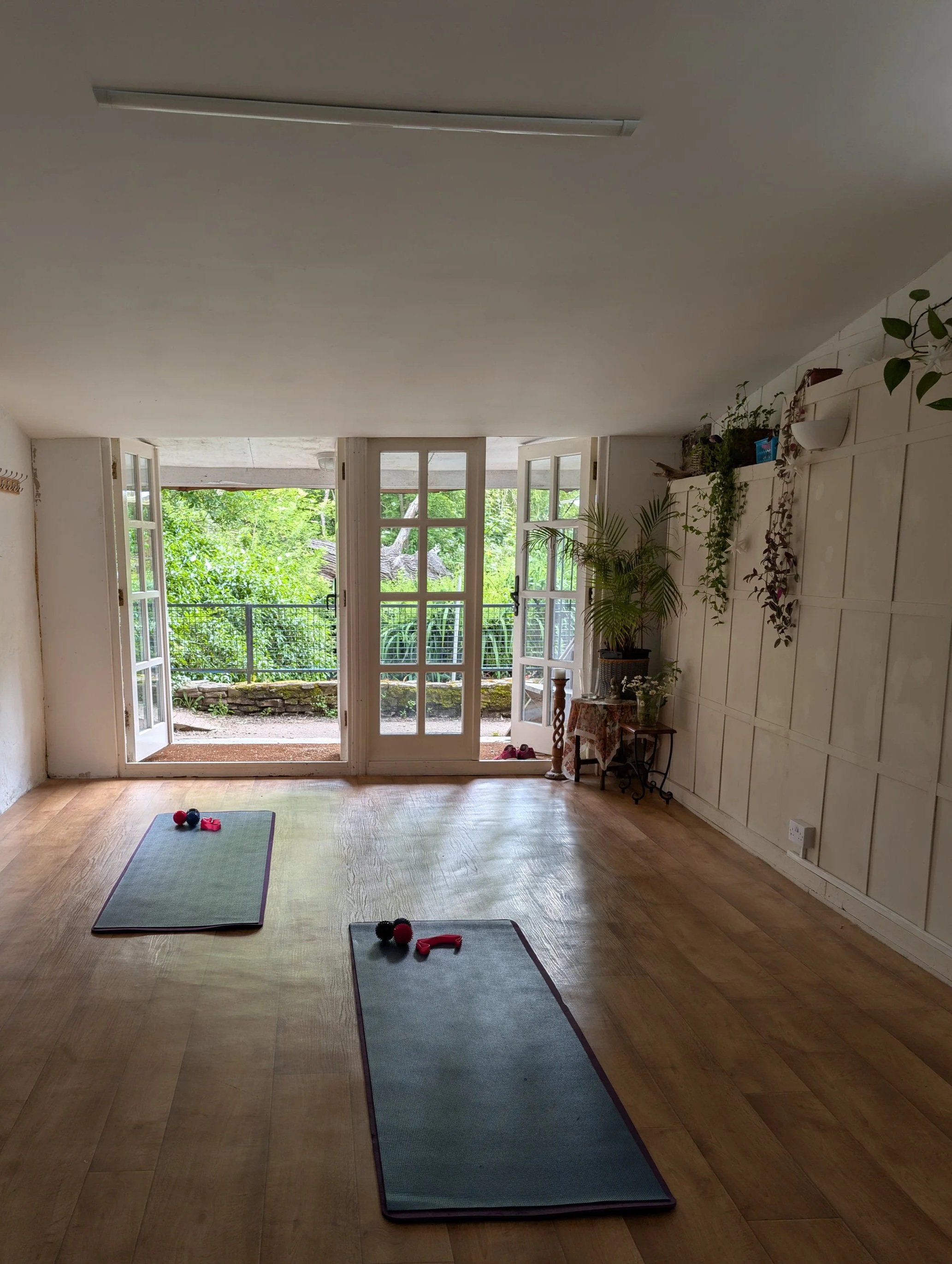 A room with open French doors showing greenery outside, two exercise mats with small balls and resistance bands, and potted plants along a white-paneled wall.