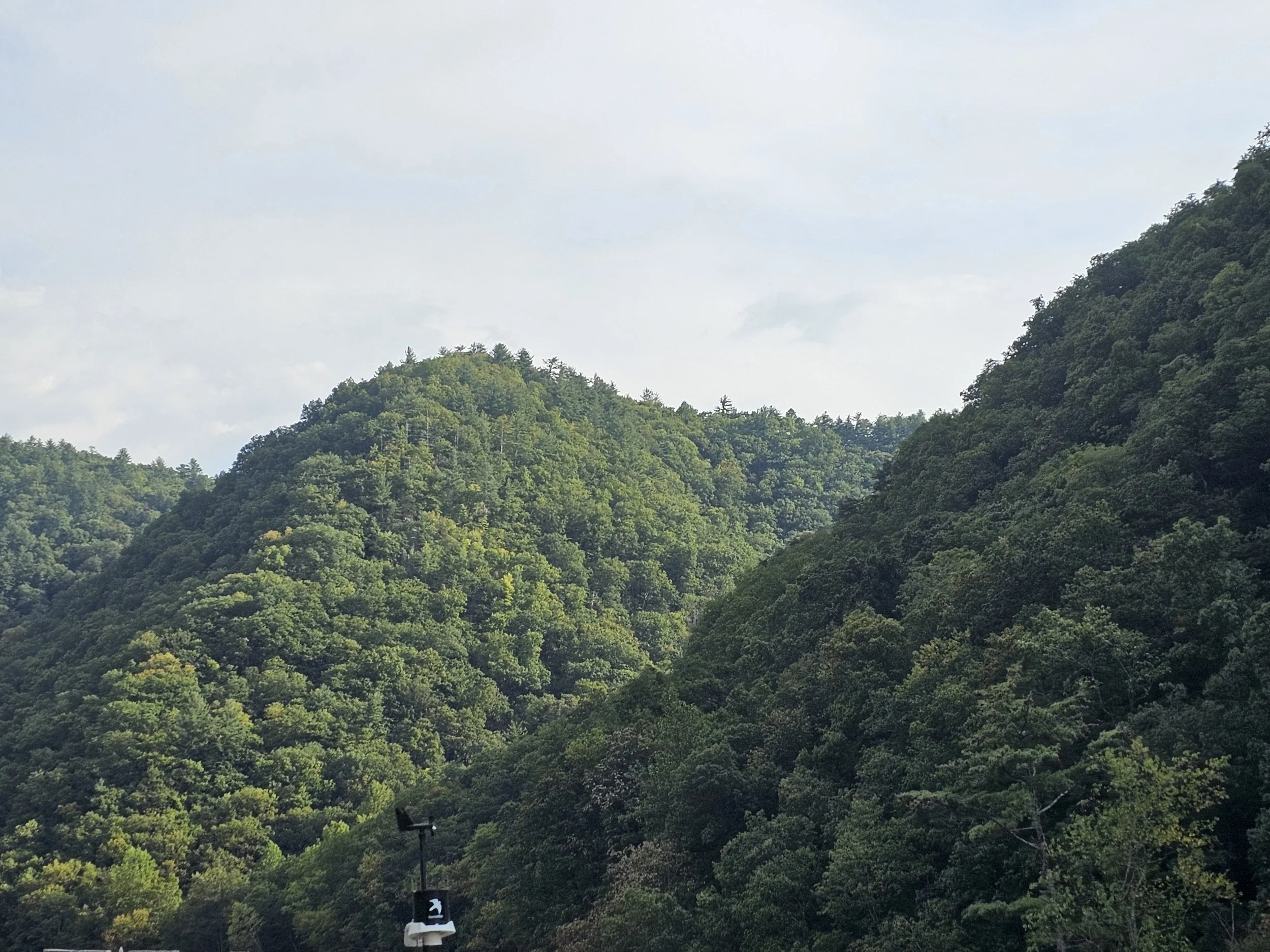 Day 7: Recommitting to God at the Center