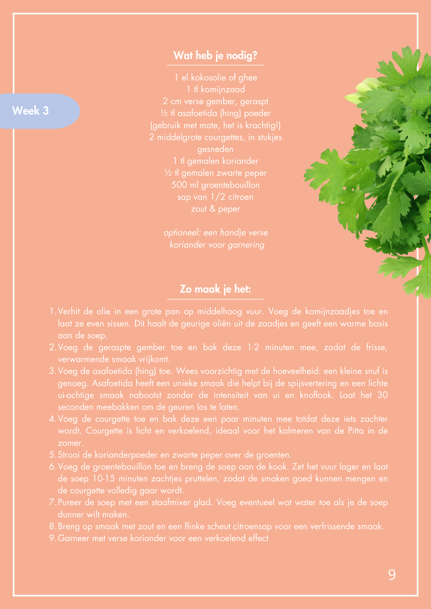 A page from a recipe magazine with a list of ingredients and instructions for a vegetable soup, featuring parsley on the right side of the page.
