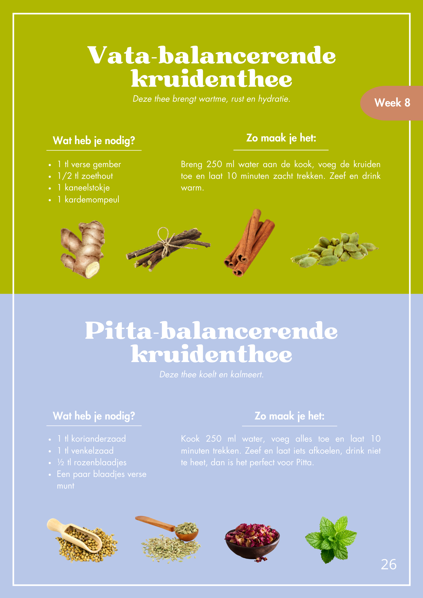 Dutch herbal tea recipes poster divided into two sections: green top section for Vata-balancing herbal tea with ginger, cinnamon sticks, and cardamom; blue bottom section for Pitta-balancing herbal tea with coriander, fennel, rose petals, and mint. T