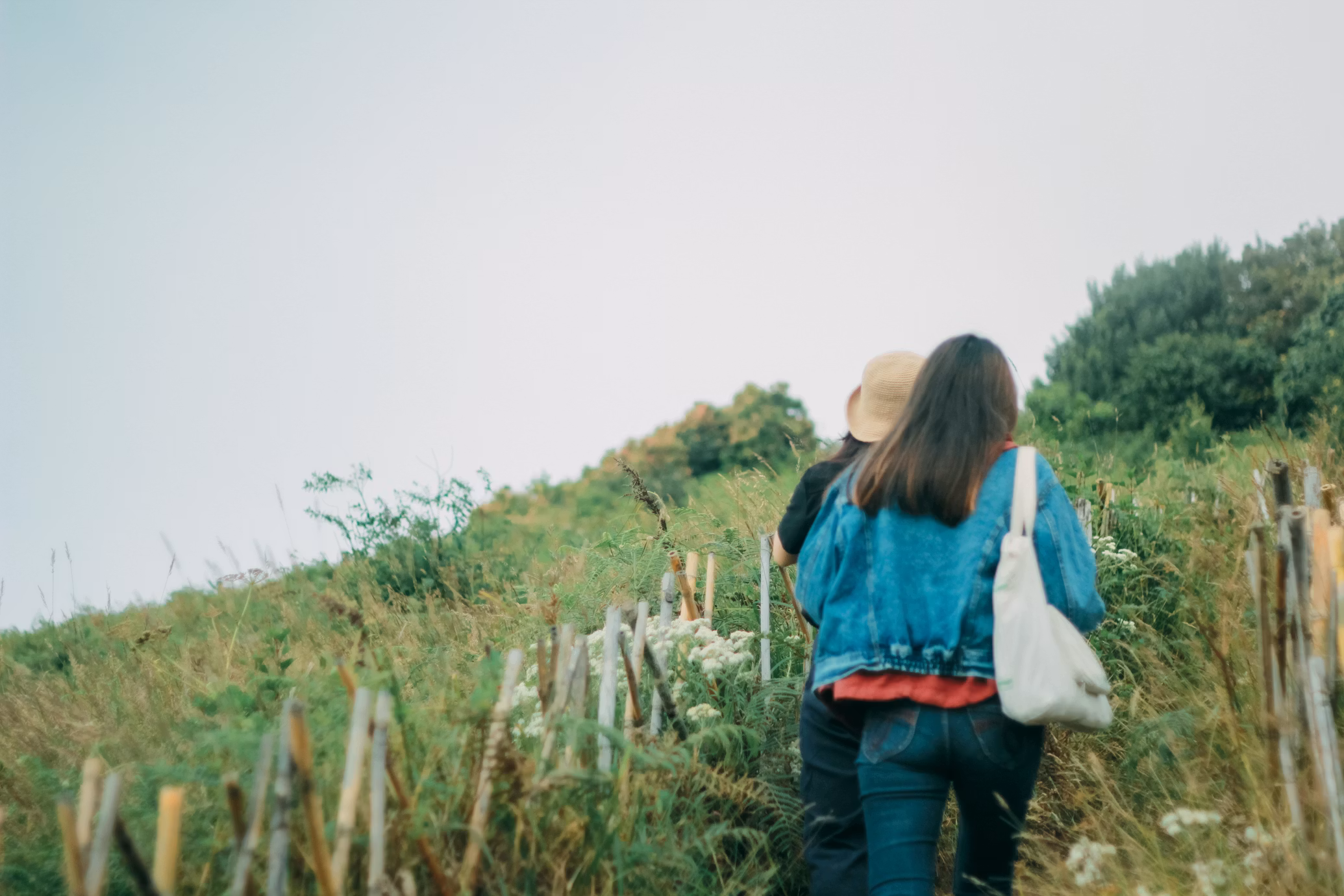 Zwei Frauen wandern in einer grünen Landschaft mit einigen Bäumen und einer Hecke in der Nähe.