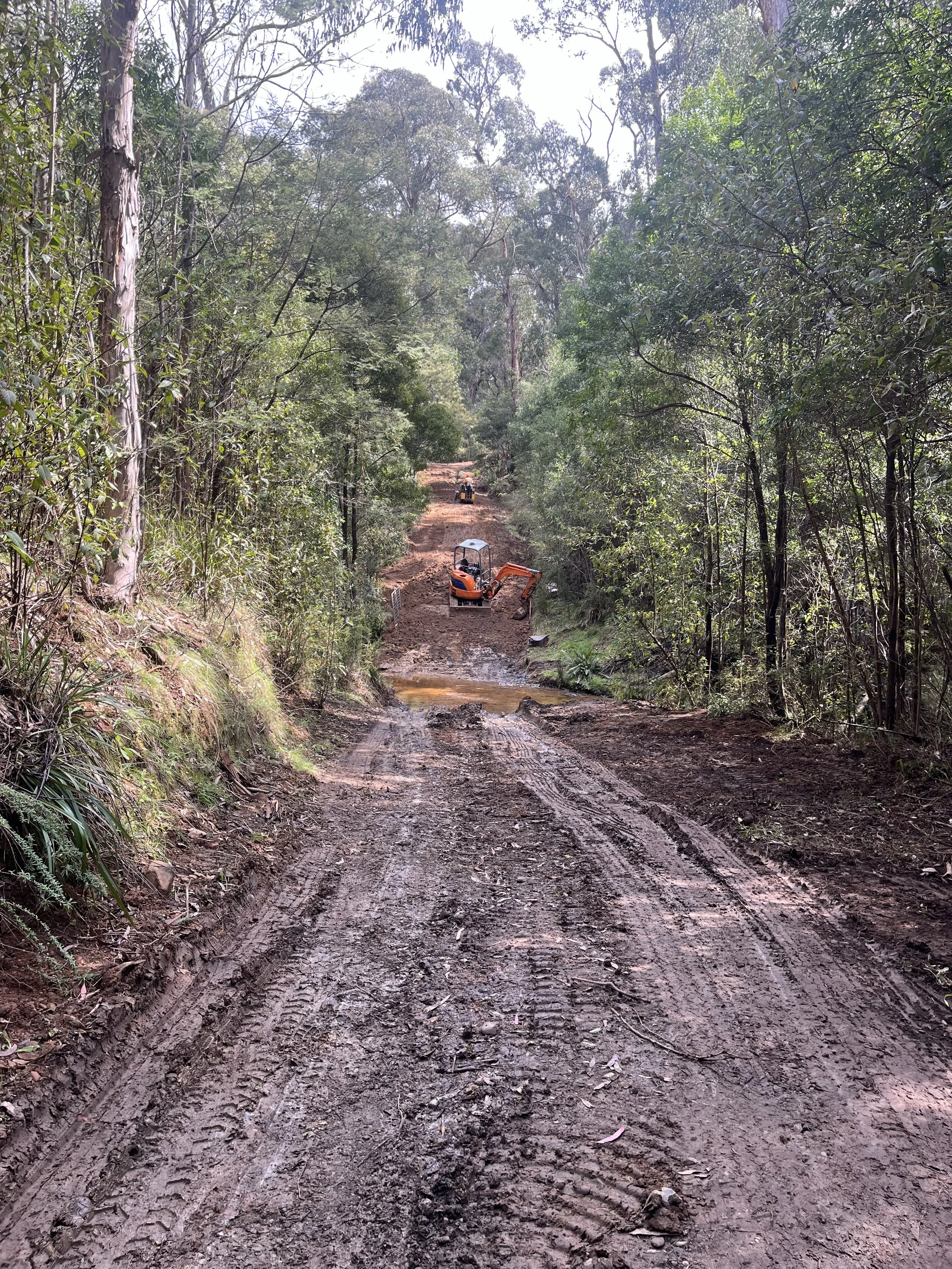 Muddy dirt road in a forest with trees on both sides. Construction vehicles, including a small excavator, are working on the road.