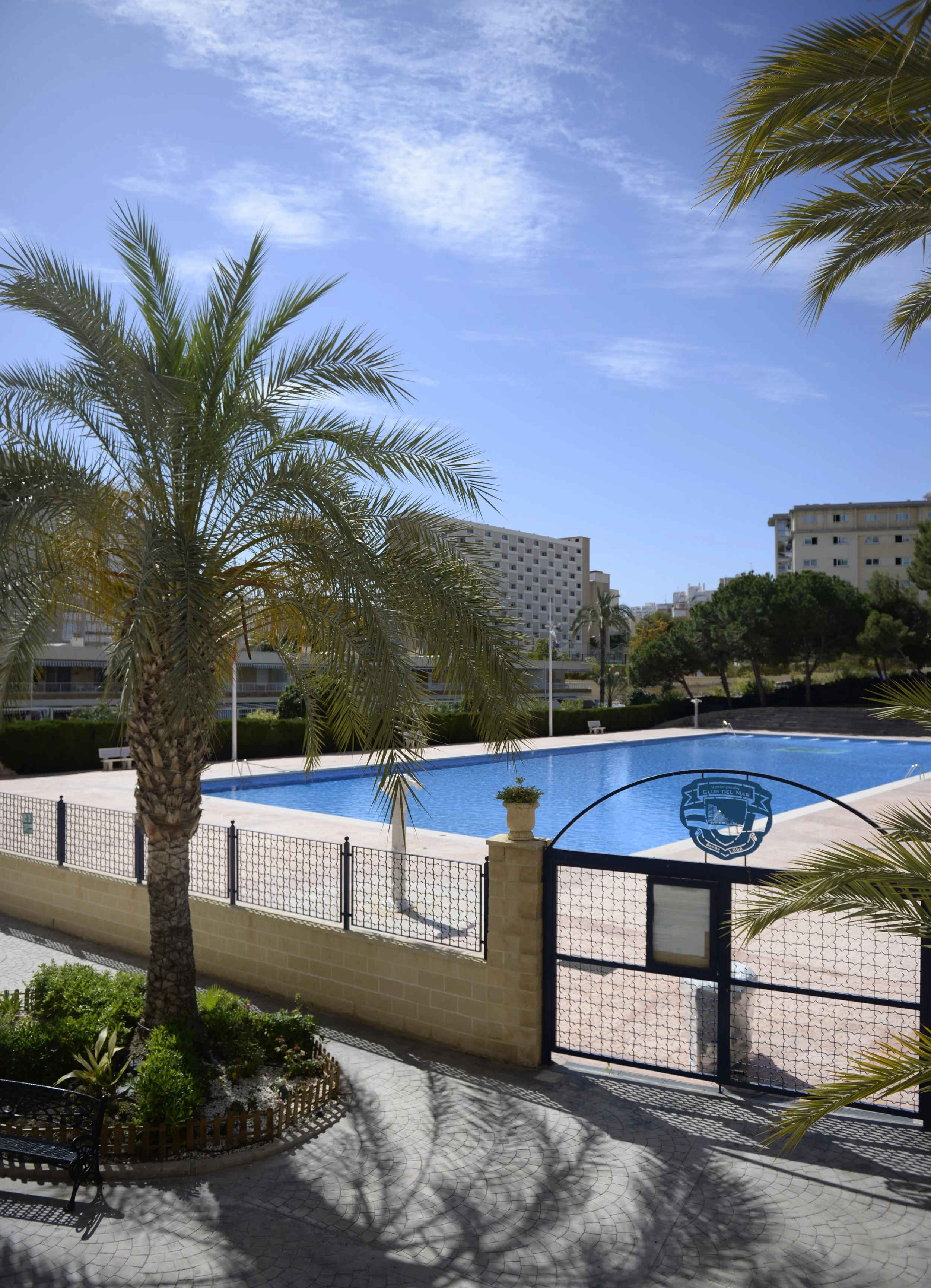 Piscine extérieure entourée de palmiers, avec bâtiments en arrière-plan et un ciel bleu dégagé.