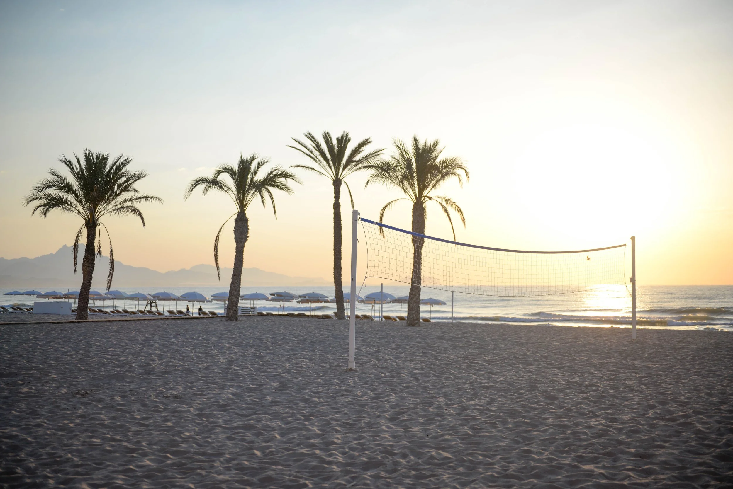 Plage au coucher du soleil avec quatre palmiers, un filet de volley-ball, des parasols, des chaises longues et la mer en arrière-plan.