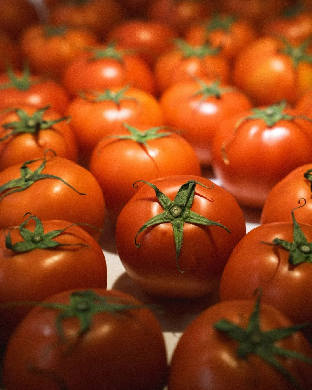 Miznon Taiwan 素食友善地中海料理