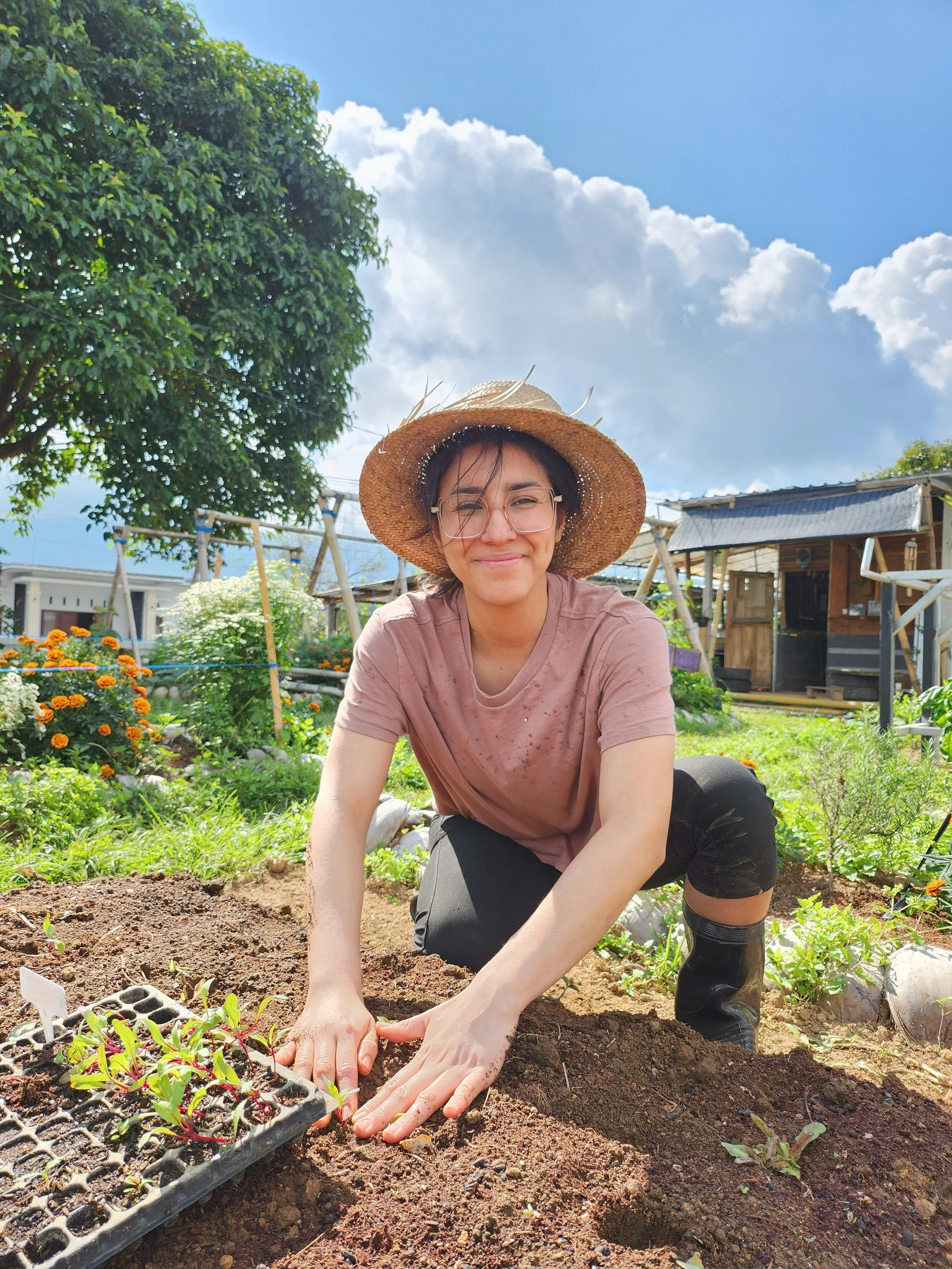 A woman in a straw hat and glasses is gardening in a backyard, planting seedlings in the soil. The sky is partly cloudy with a big tree and a wooden shed in the background.