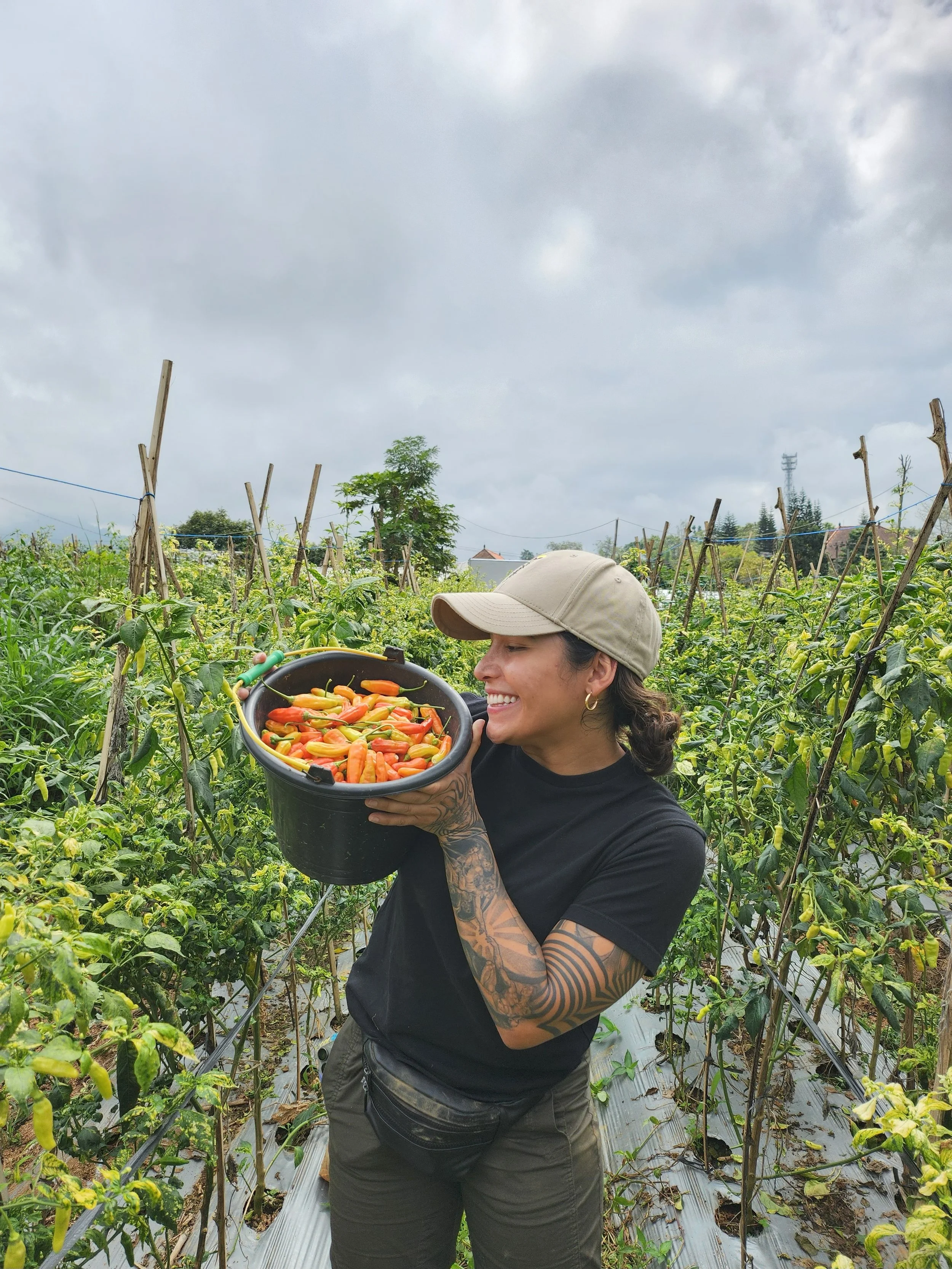 A woman smiling and holding a bucket of freshly picked peppers in a garden with green plants and a cloudy sky.