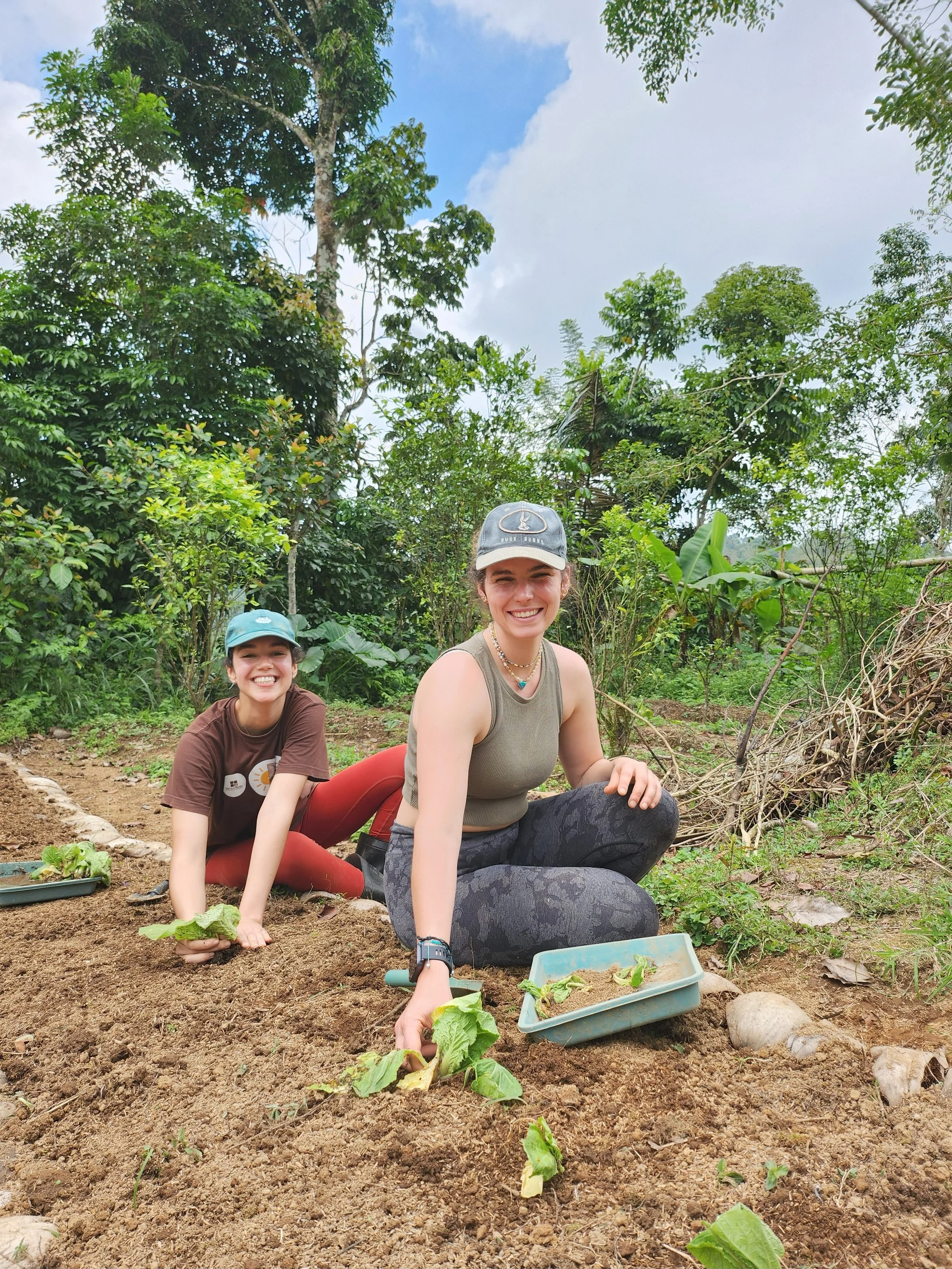Two women planting young plants in a garden with lush green trees in the background, smiling and working in the soil.