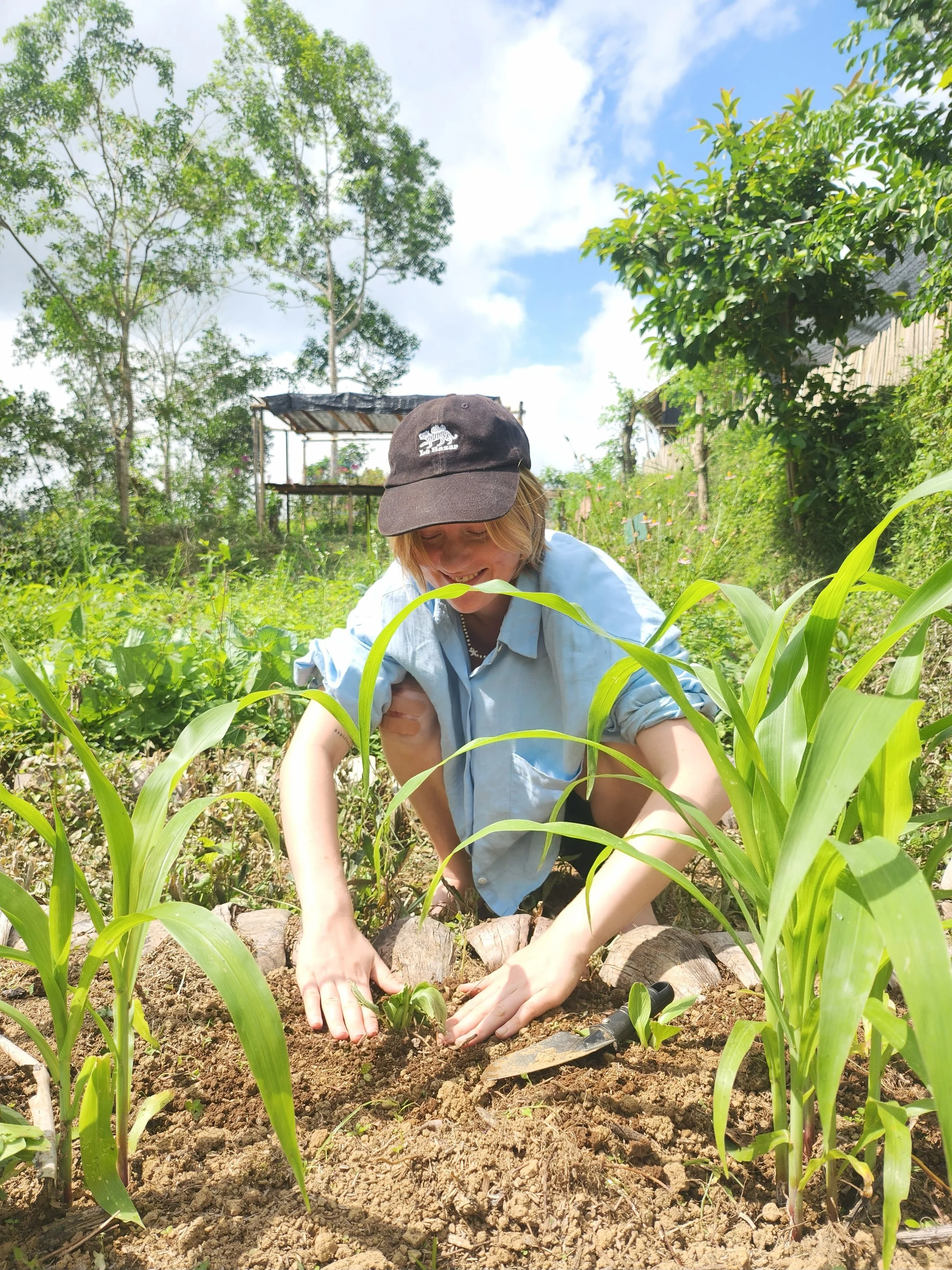 A person planting a young seedling in a garden on a sunny day, surrounded by tall green plants and trees.