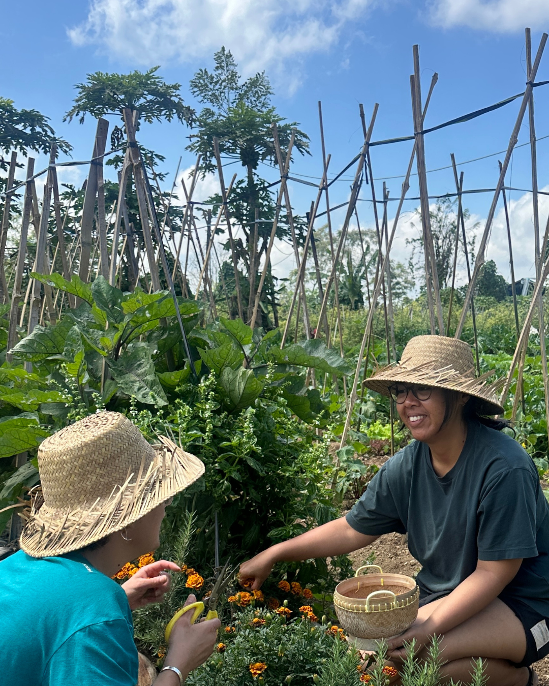 Two women wearing straw hats working in a garden with green plants, flowers, and bamboo stakes under a blue sky.