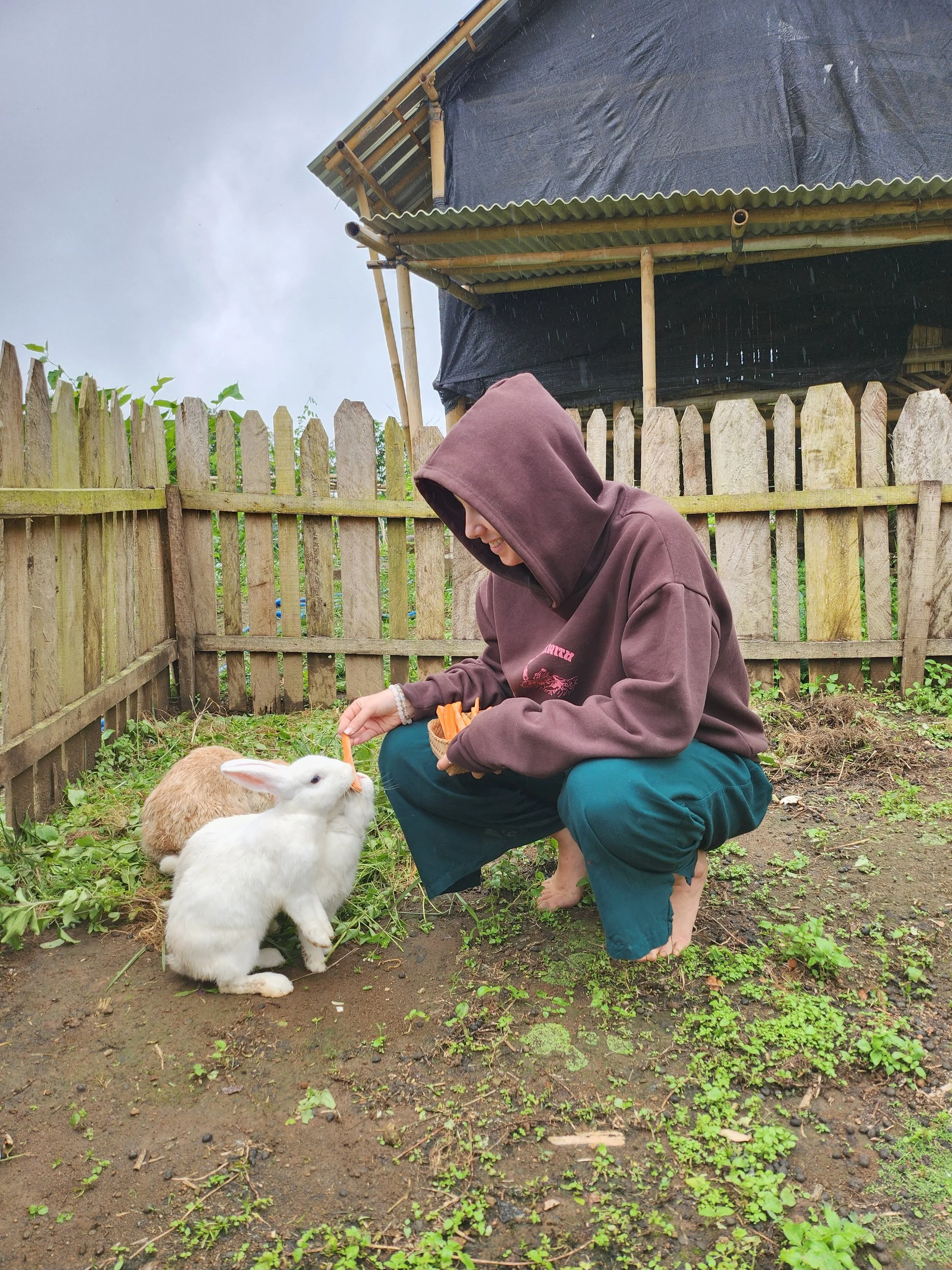 Person squatting in a garden with a brown hoodie and teal pants, feeding a white rabbit.
