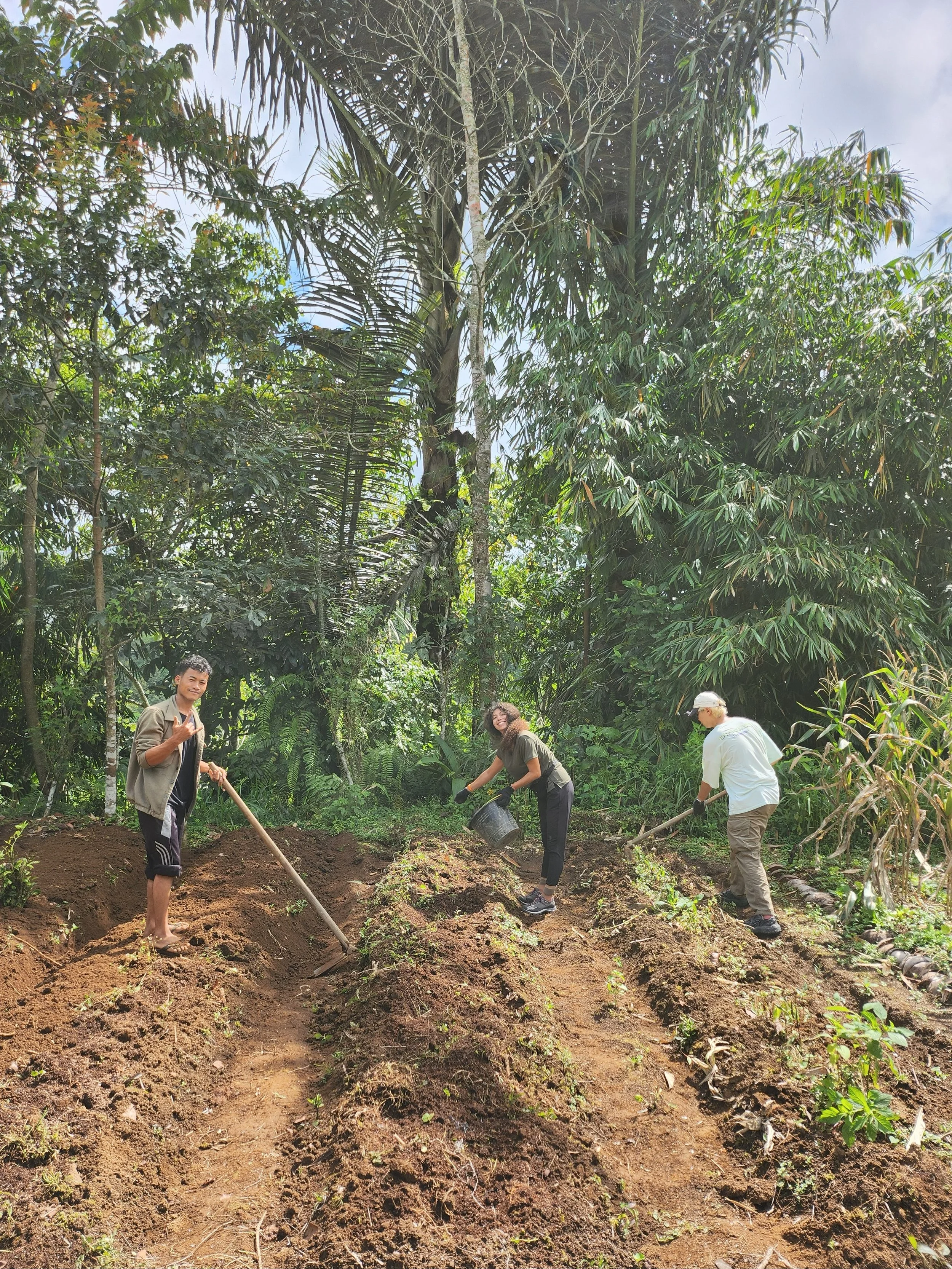Three people in a tropical garden planting or tending to a garden bed, smiling and working with gardening tools and a bucket.