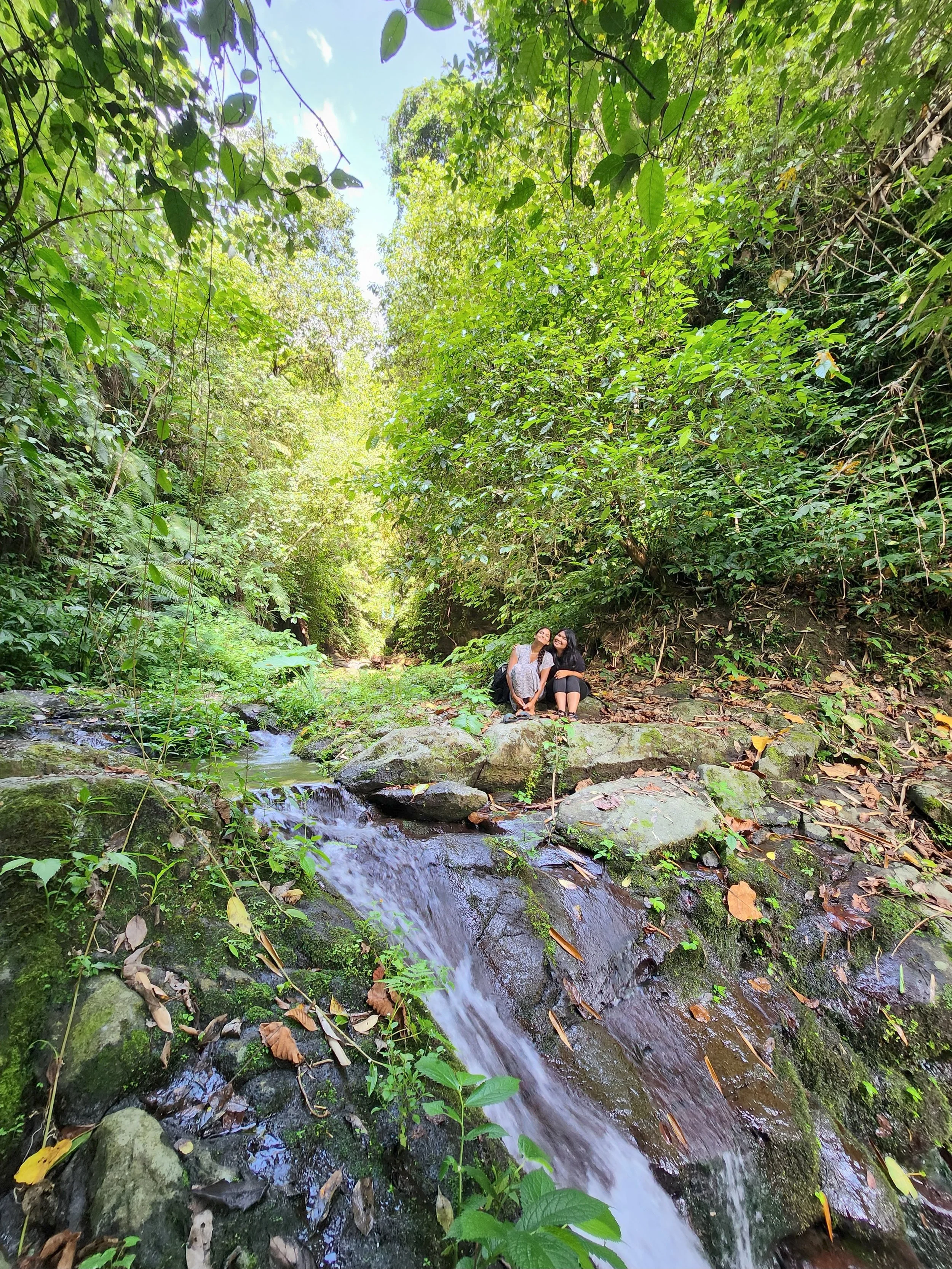 Two women sit on rocks by a small flowing creek in a lush, green forest with dense foliage and trees under a bright blue sky.