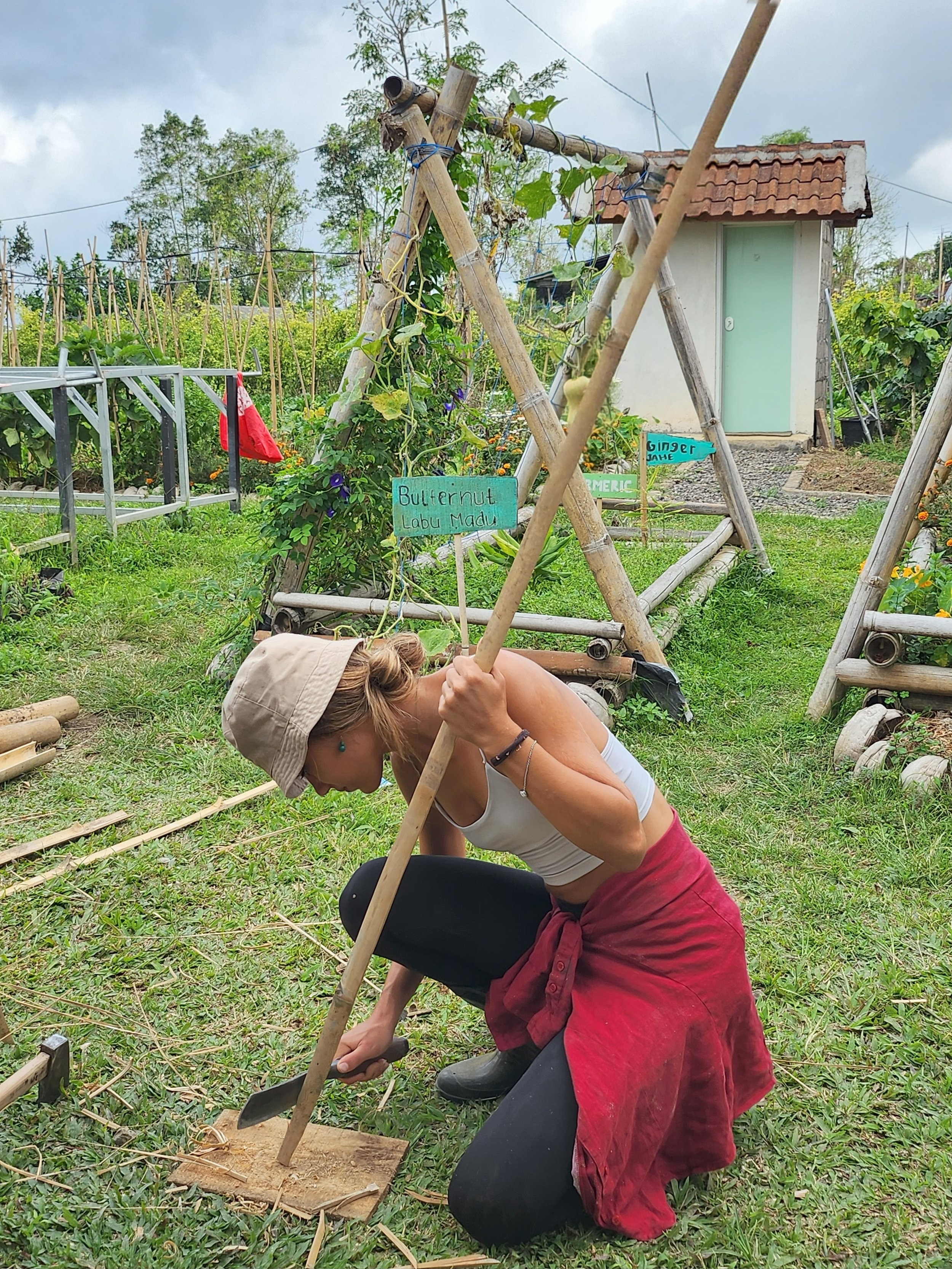 Woman working in a garden, planting or cultivating soil with a hoe, surrounded by greenery and garden structures.