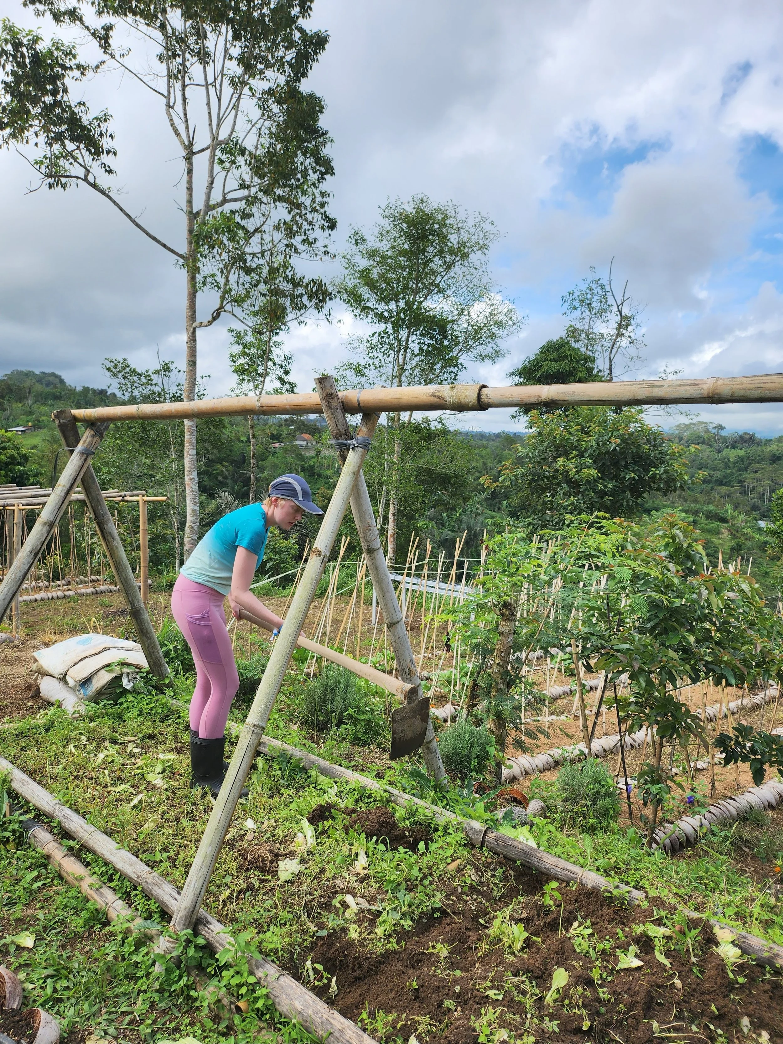 A woman with a baseball cap, blue shirt, pink pants, and black boots working in a garden with a shovel, surrounded by green plants, trees, and a blue sky with clouds.