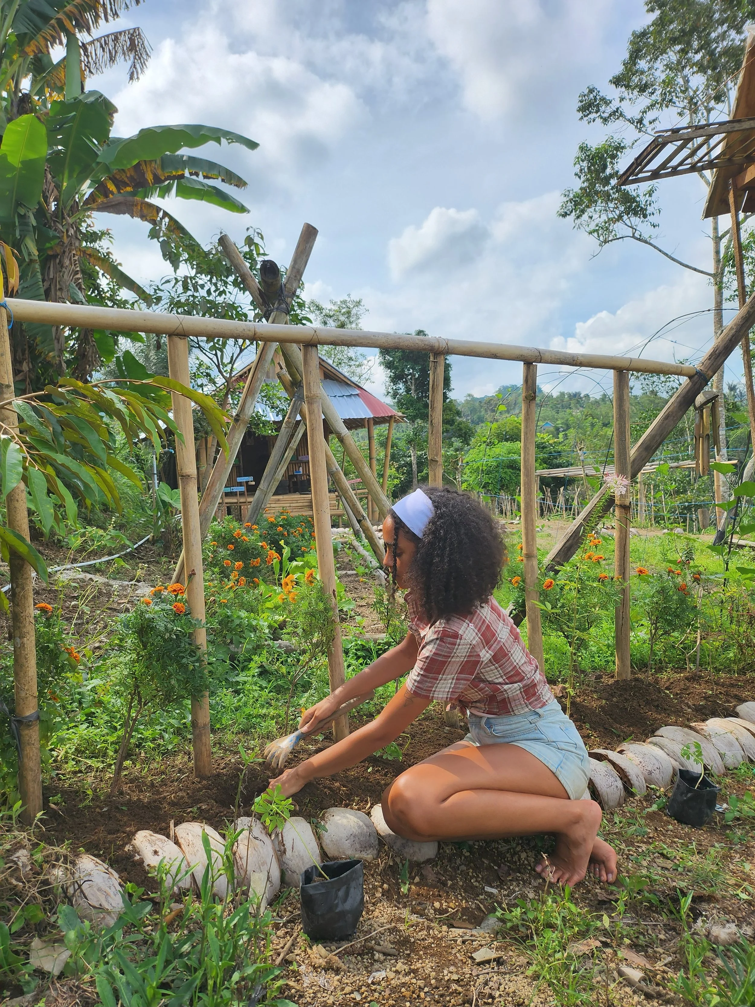 A woman with curly hair wearing a white headband, plaid shirt, and denim shorts is gardening in a lush, green outdoor garden, planting small plants in the soil bordered by stones, with a wooden structure and a small house in the background under a pa