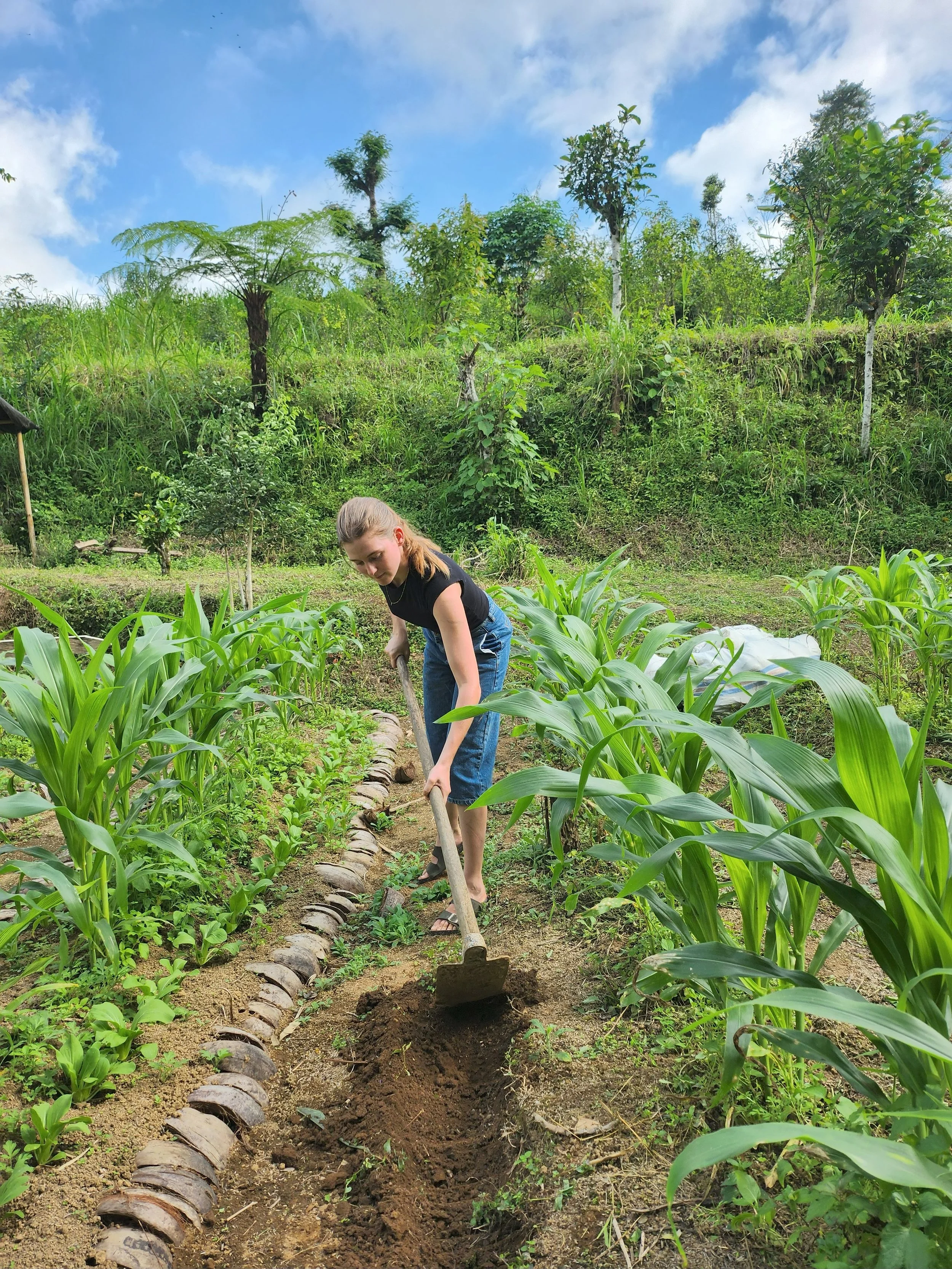 A girl planting seeds in a garden with green plants and trees in the background under a partly cloudy sky.