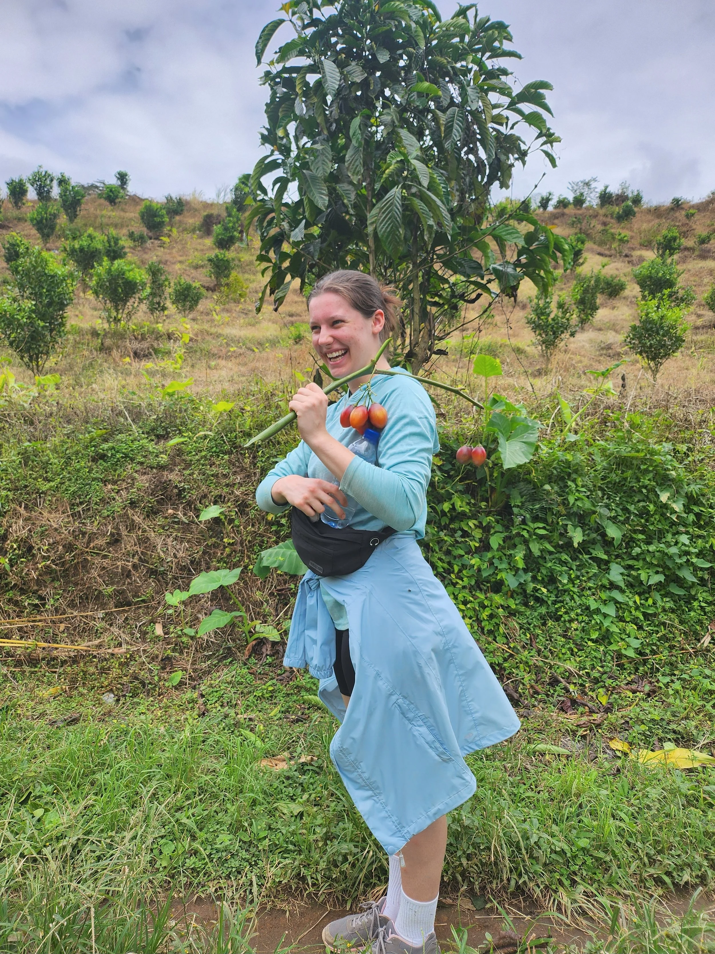 A woman standing outdoors among green plants and rolling hills, holding a tree branch with ripe tomatoes, smiling and looking cheerful.