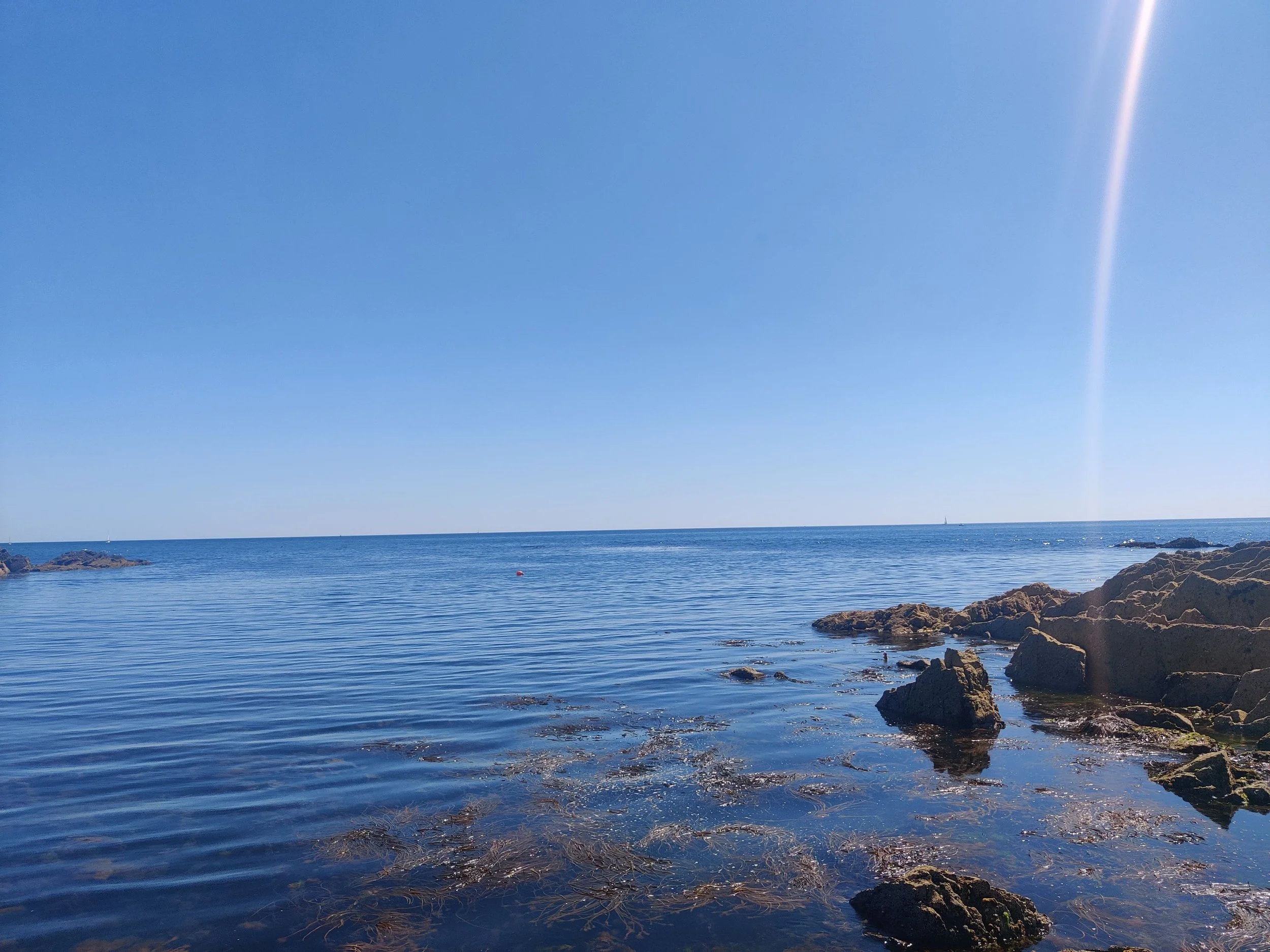 Calm ocean water with rocks along the shoreline under a clear blue sky, bright sunlight, and distant sailboats on the horizon.