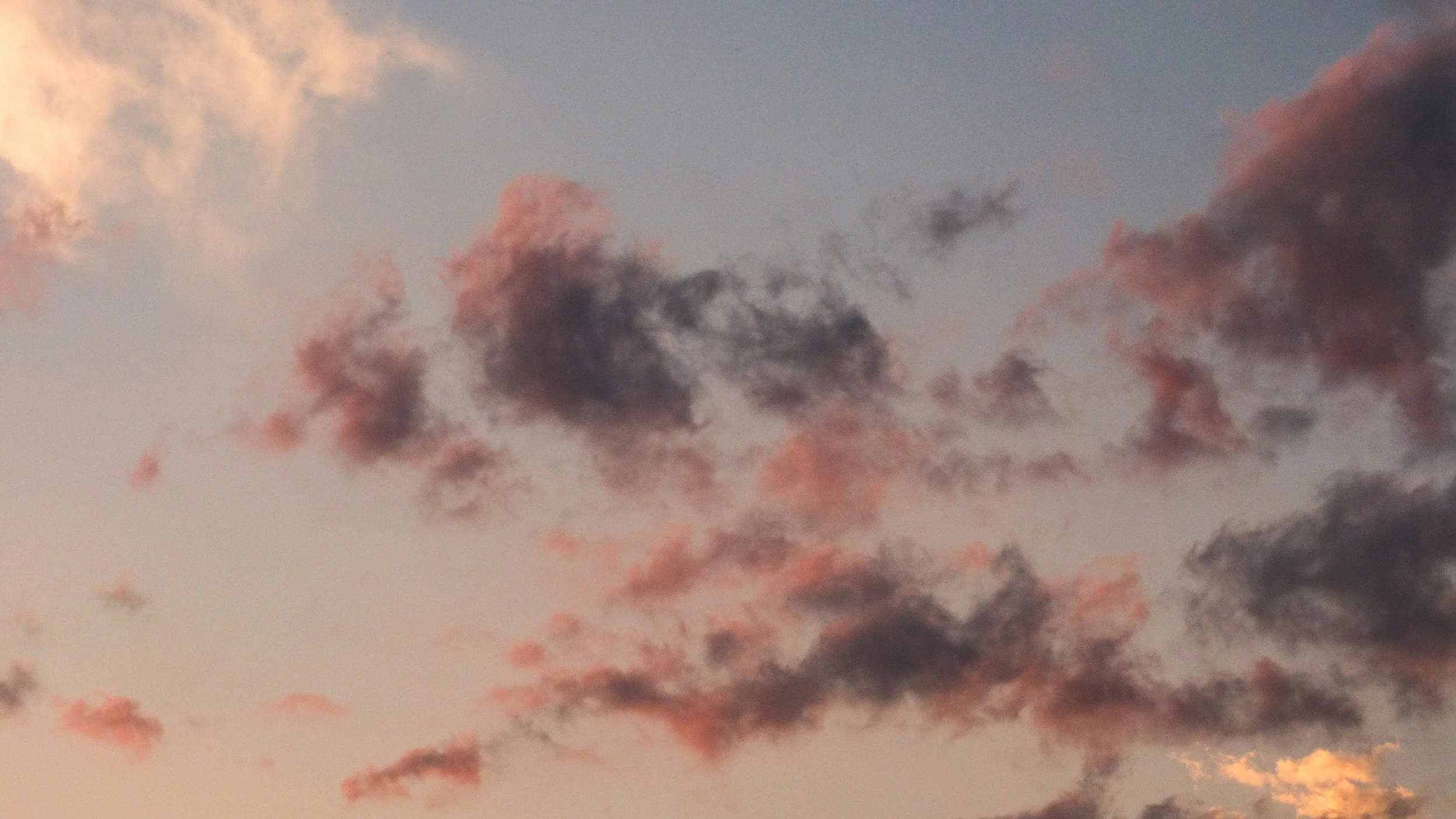 Psychologische Beratung und Therapie: vertrauensvolle Atmosphäre, Einfühlsames Gespräch, Unterstützung bei persönlichen Herausforderungen, Förderung von mentaler Gesundheit und Resilienz