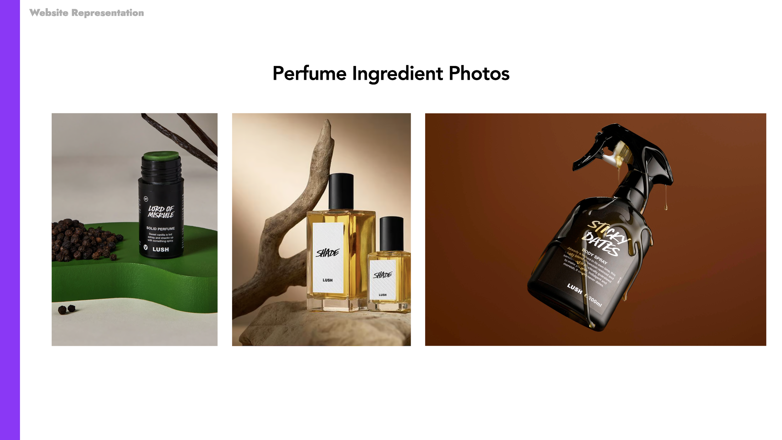 DSBS Final_Page_34.png