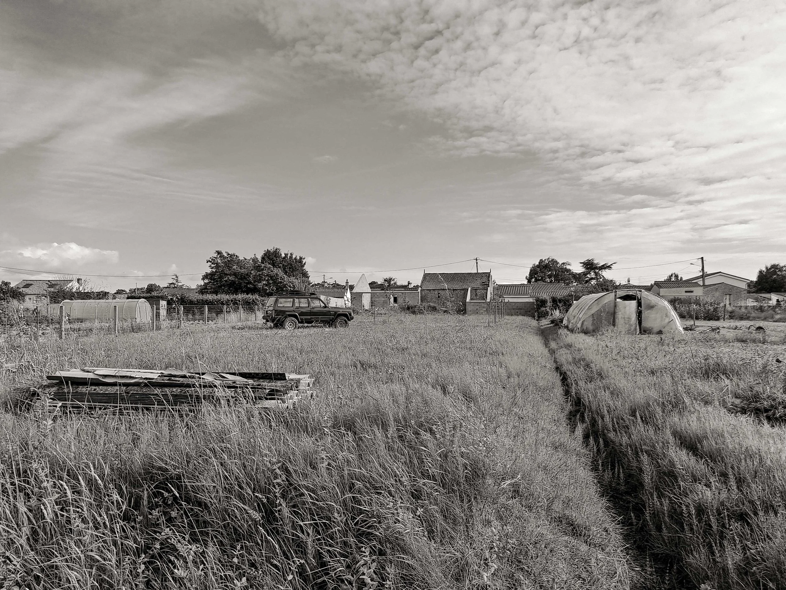 Une vue d'un champ avec de l'herbe haute, quelques serres en plastique, une voiture stationnée, des maisons, et un ciel nuageux.