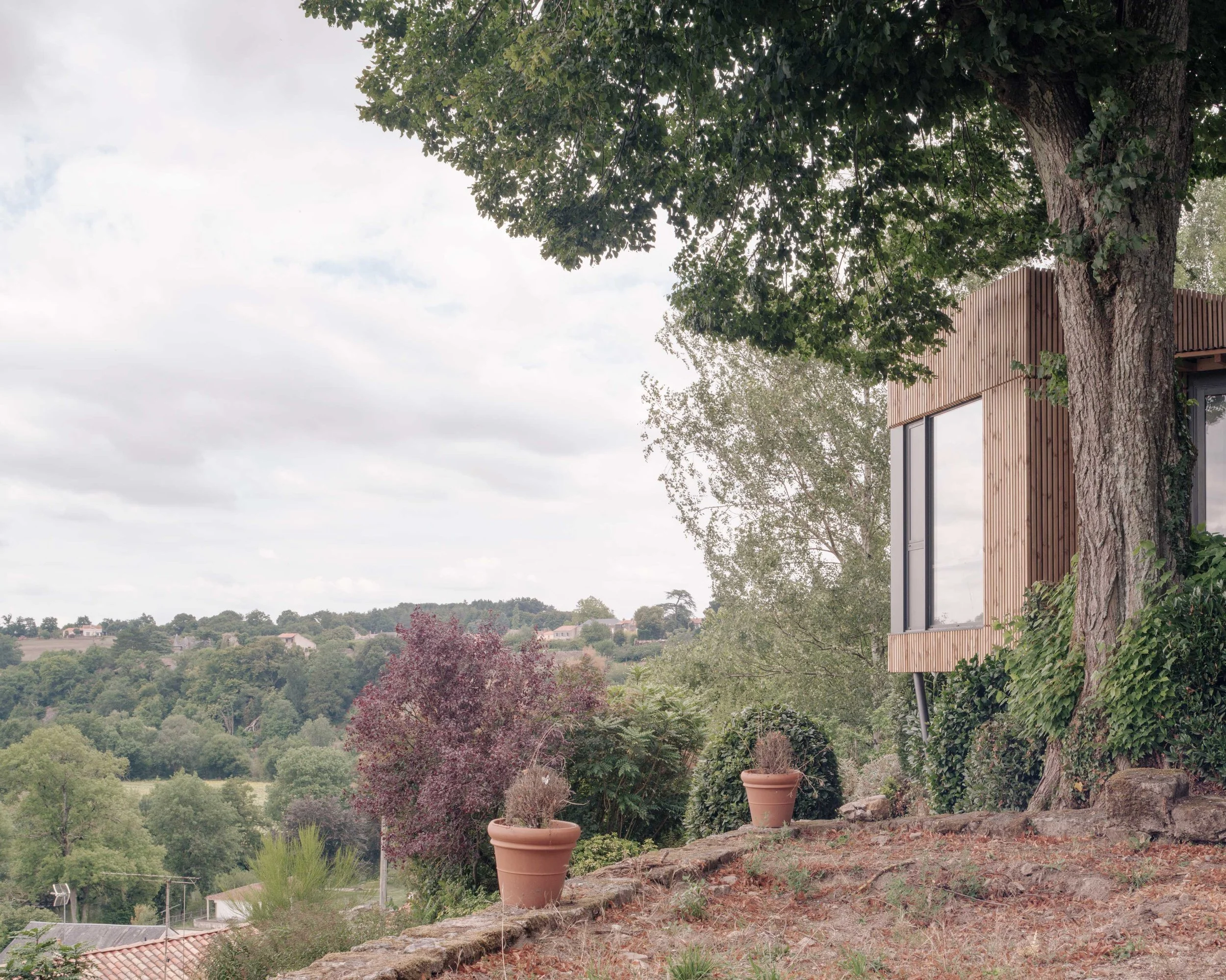 Jardin avec plusieurs pots en terre cuite contenant des plantes, arbres, et une maison moderne en bois, avec un paysage de campagne en arrière-plan