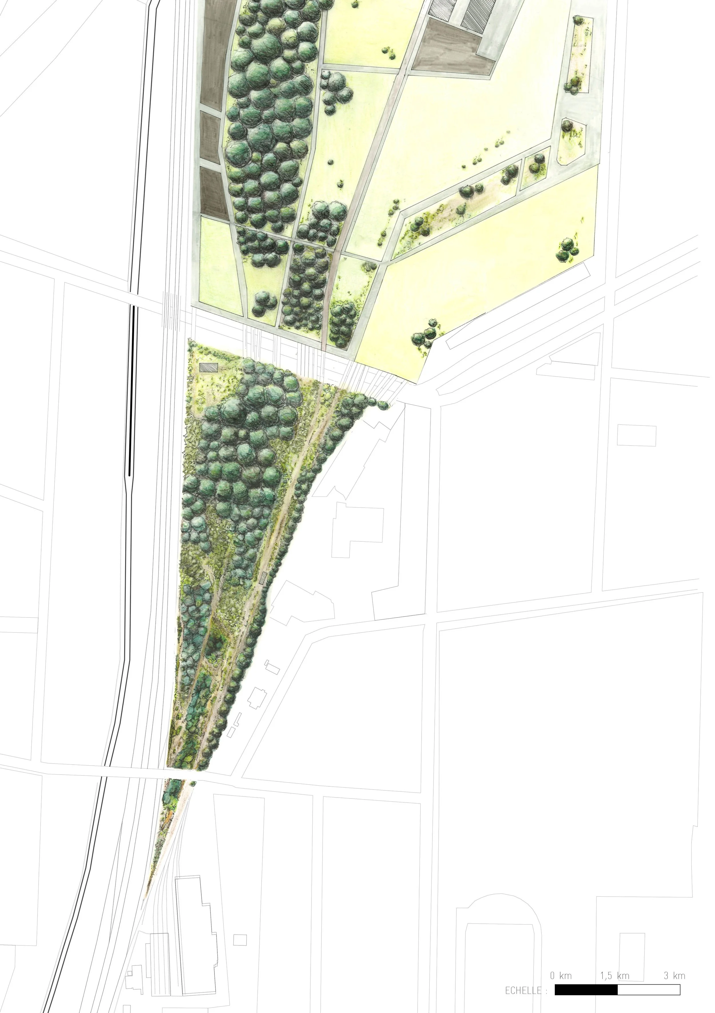 Plan d'aménagement paysager d'un parc urbain avec zones de végétation dense et espaces dégagés, chemins de promenade, et une zone bordée d'arbres.