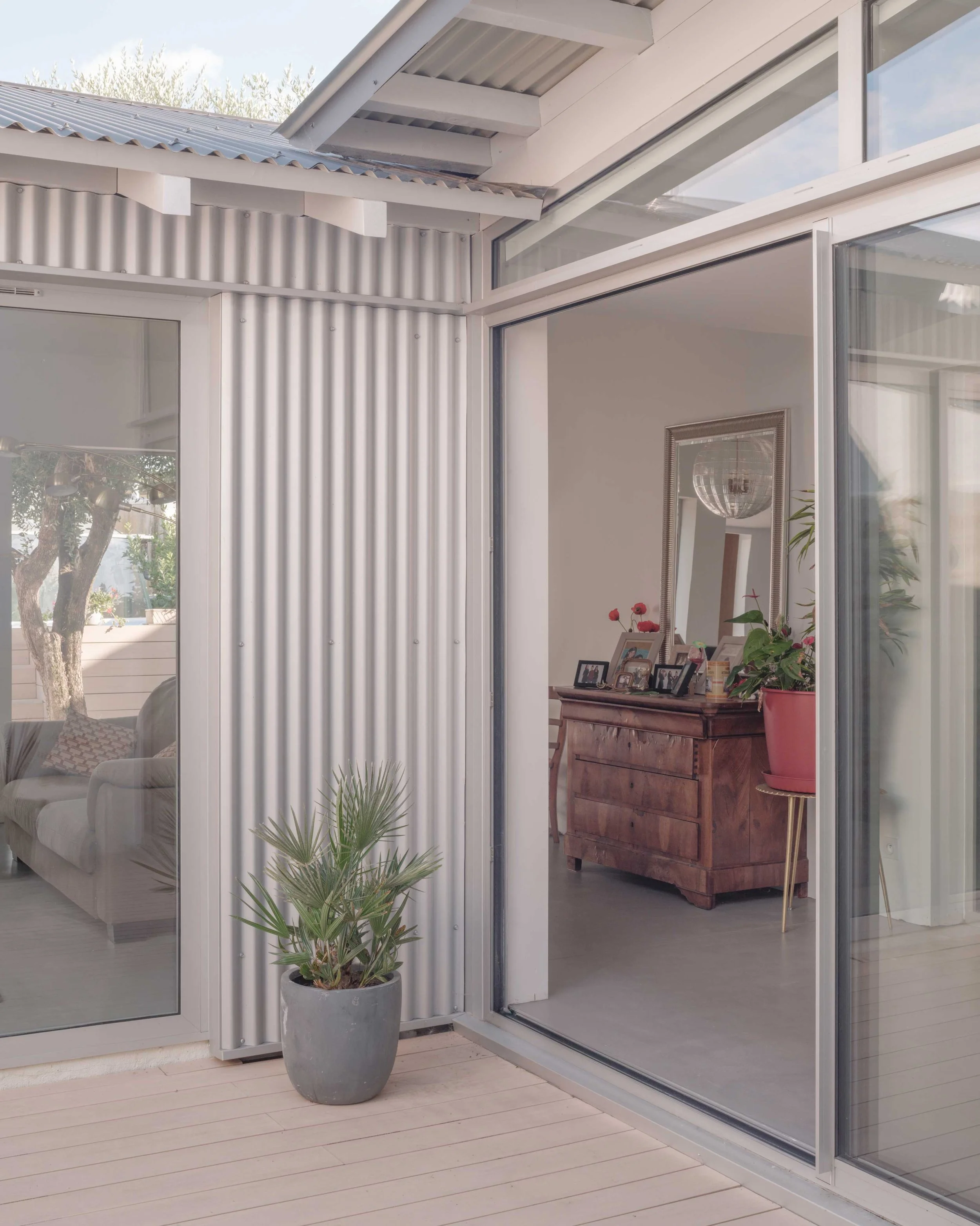 Vue d'une terrasse avec une grande plante en pot, un canapé, et un mobilier intérieur visible à travers une grande fenêtre en aluminium. Style moderne avec des murs en métal ondulé et un sol en bois clair.