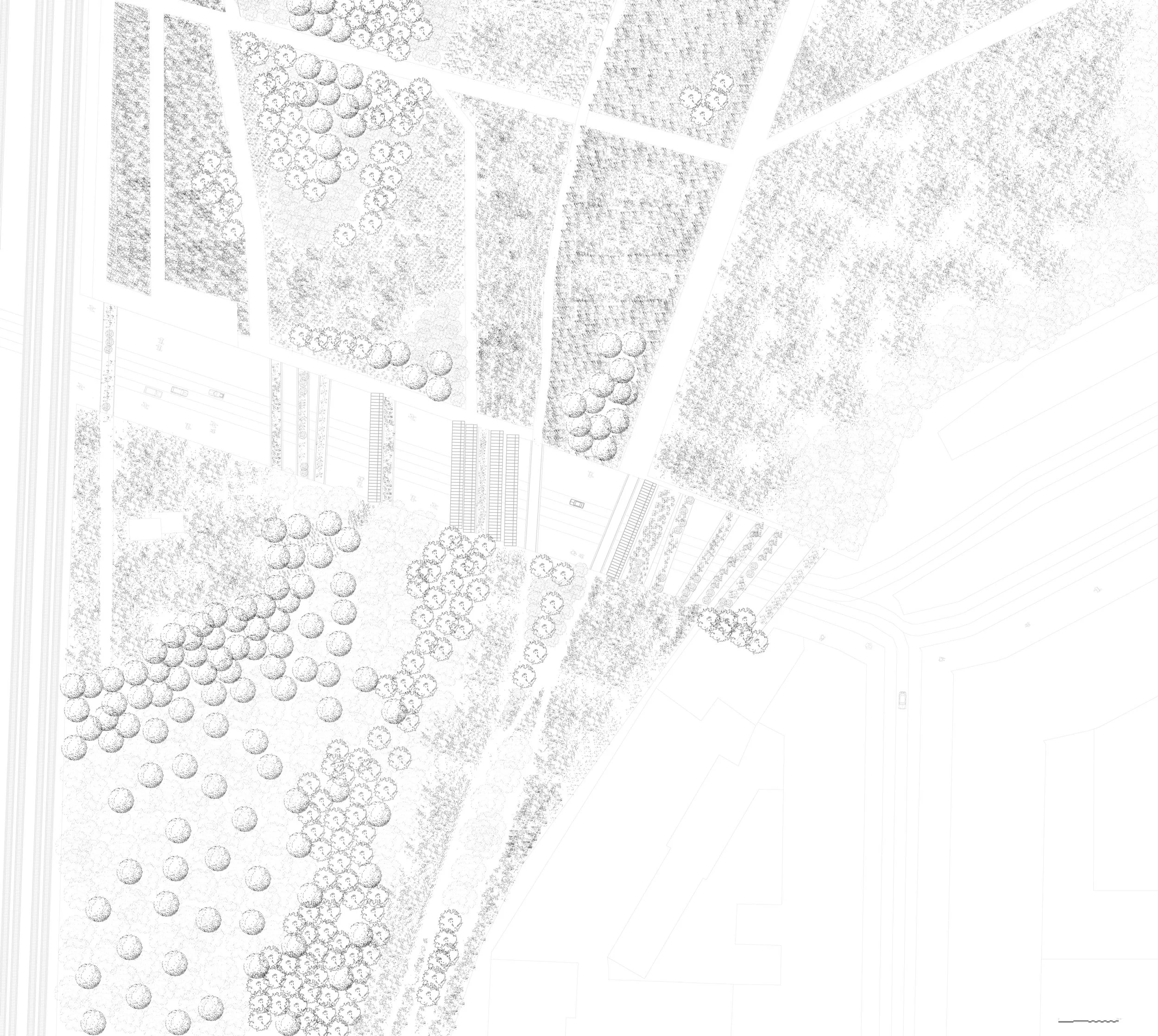 plan d'aménagement paysager en noir et blanc avec des arbres, des allées et des espaces verts.
