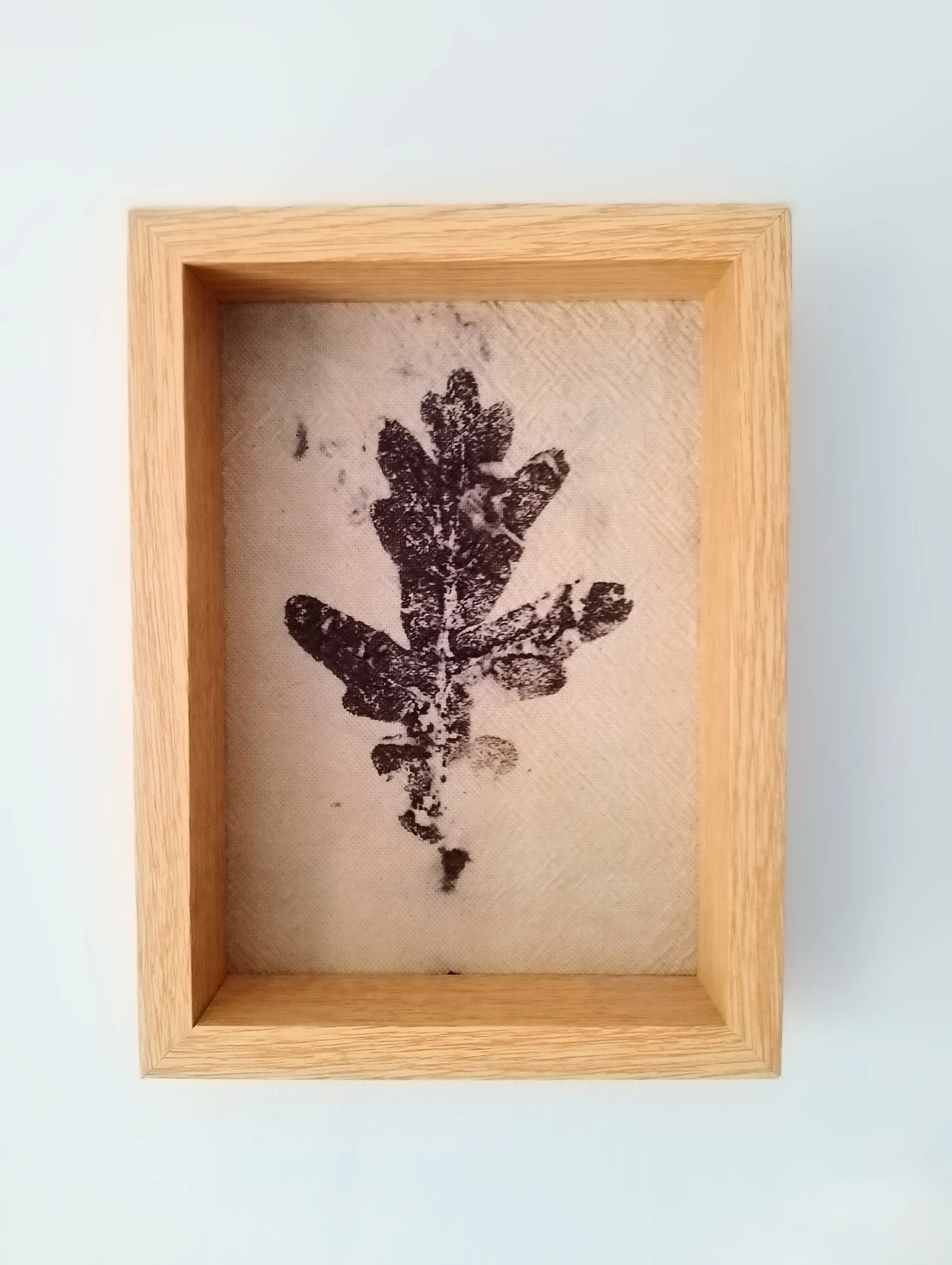 Framed Eco-printed Oak Leaf