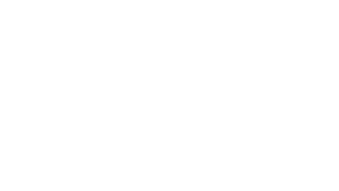 Referenz RB Leipzig