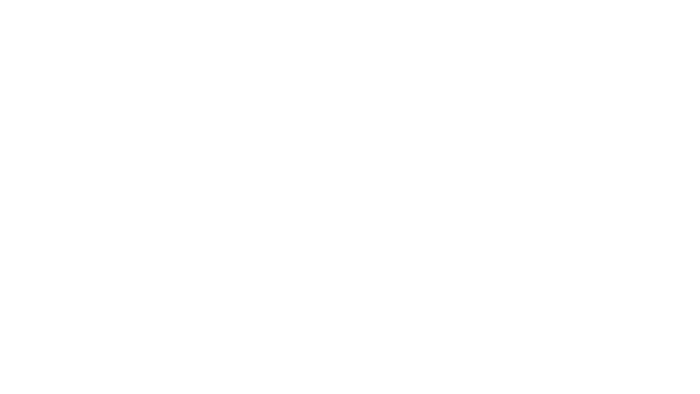 Referenz DB Cargo