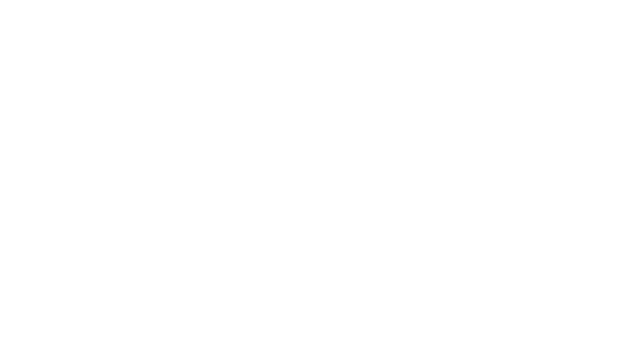 Referenz RDC 