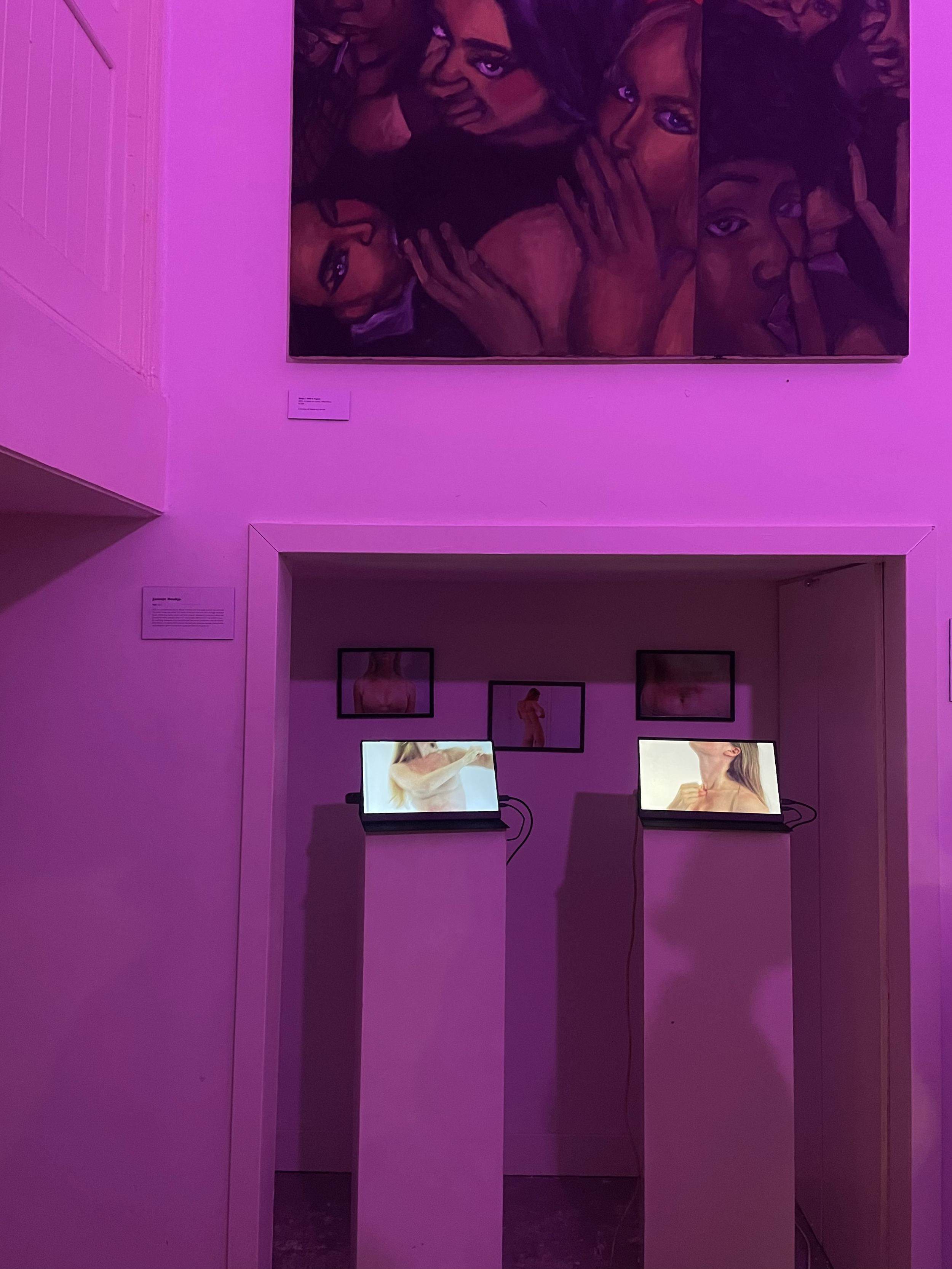 An art exhibit with a large painting of multiple women at the top and smaller photographs of a woman at the bottom, illuminated with pink lighting.