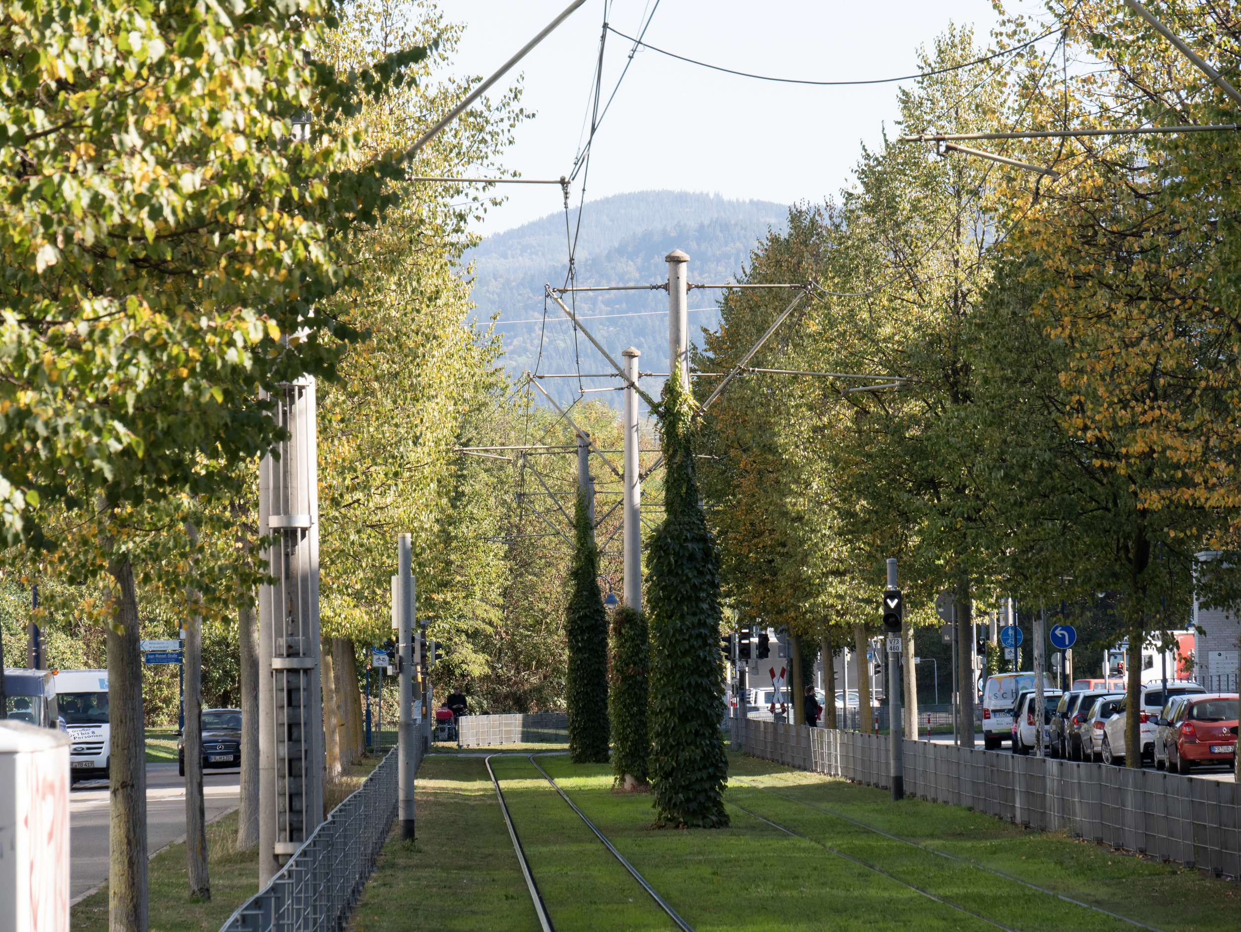 På spåret i Freiburg