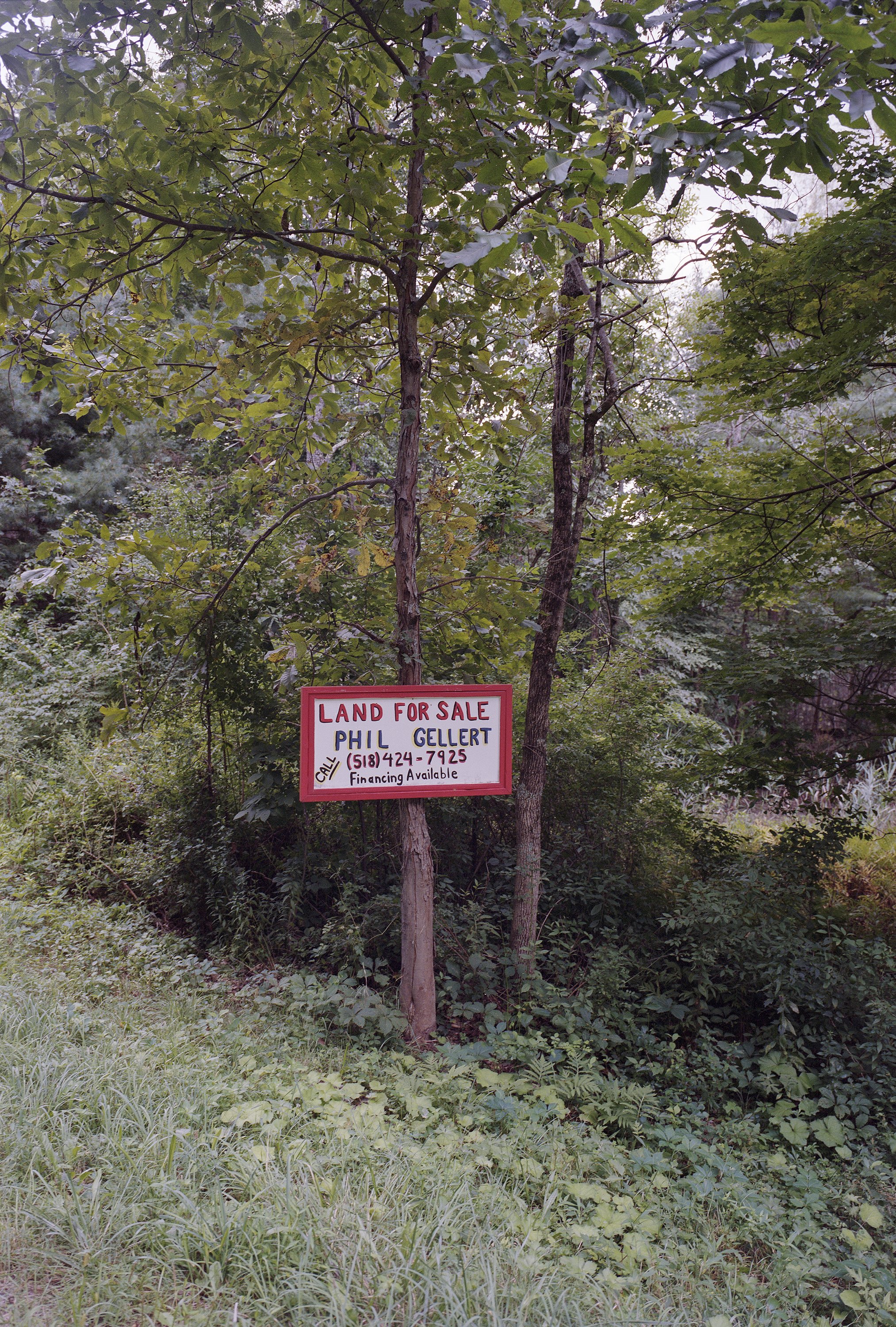 2101-04.jpg