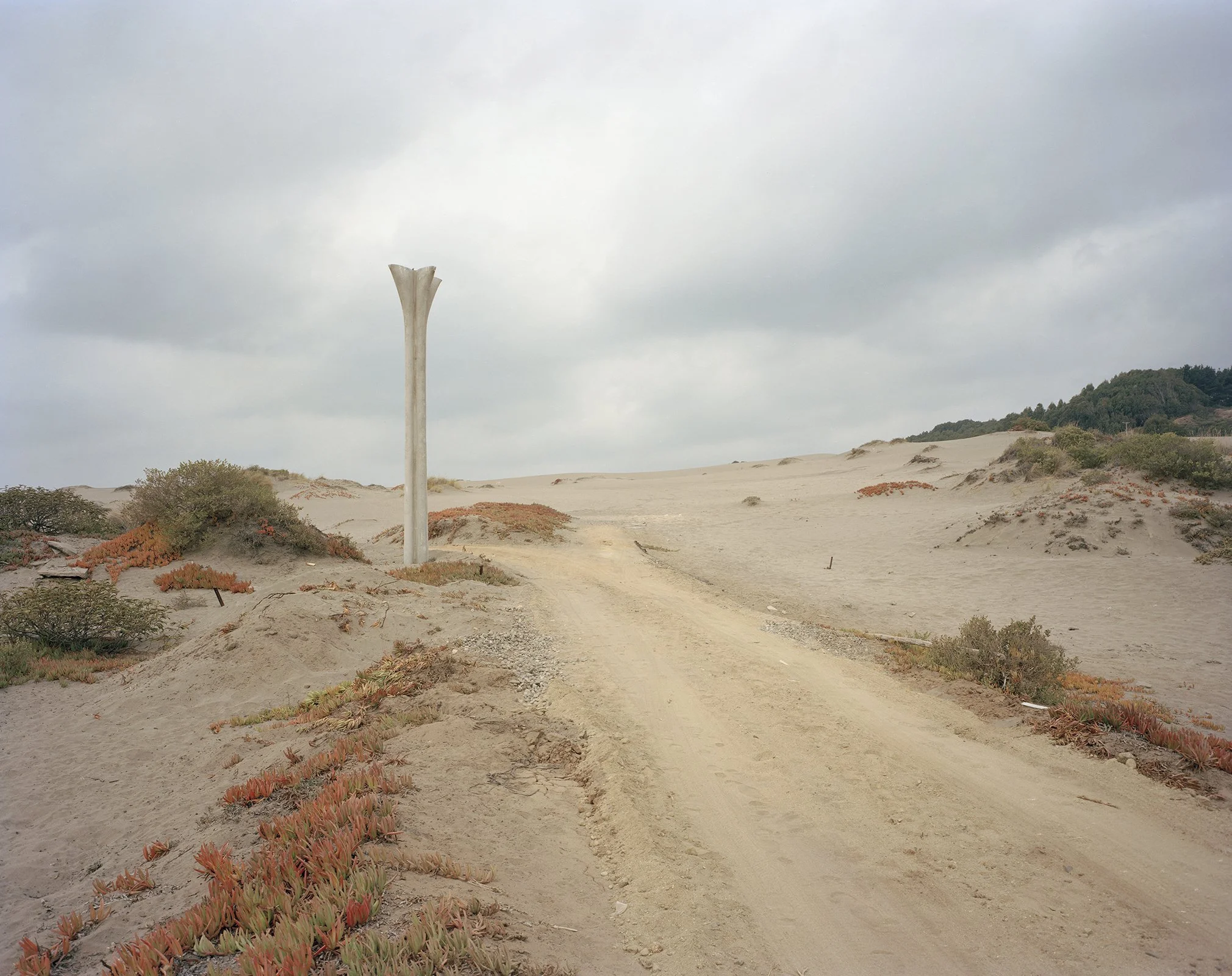 Pilares De hormigón, 2007