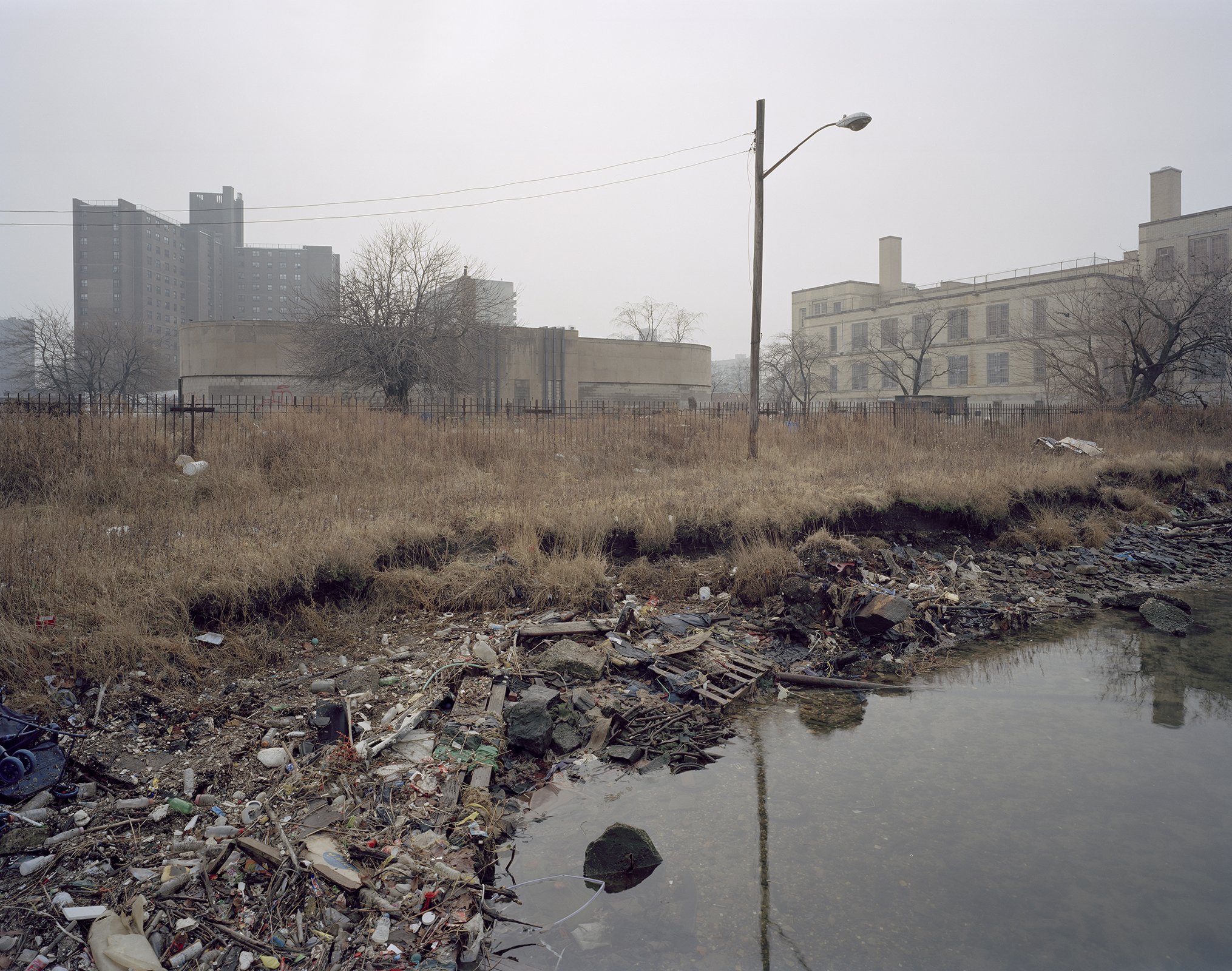 Coney Island Creek Shoreline.jpg
