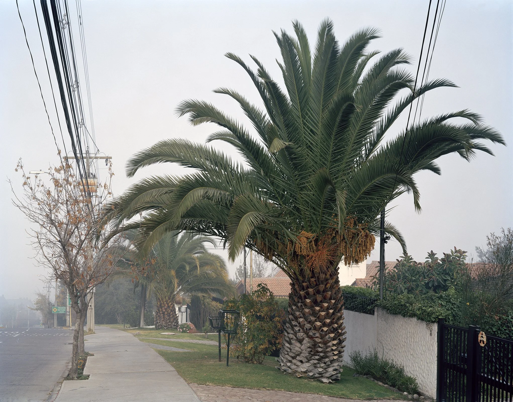 Las_Condes_50.jpg