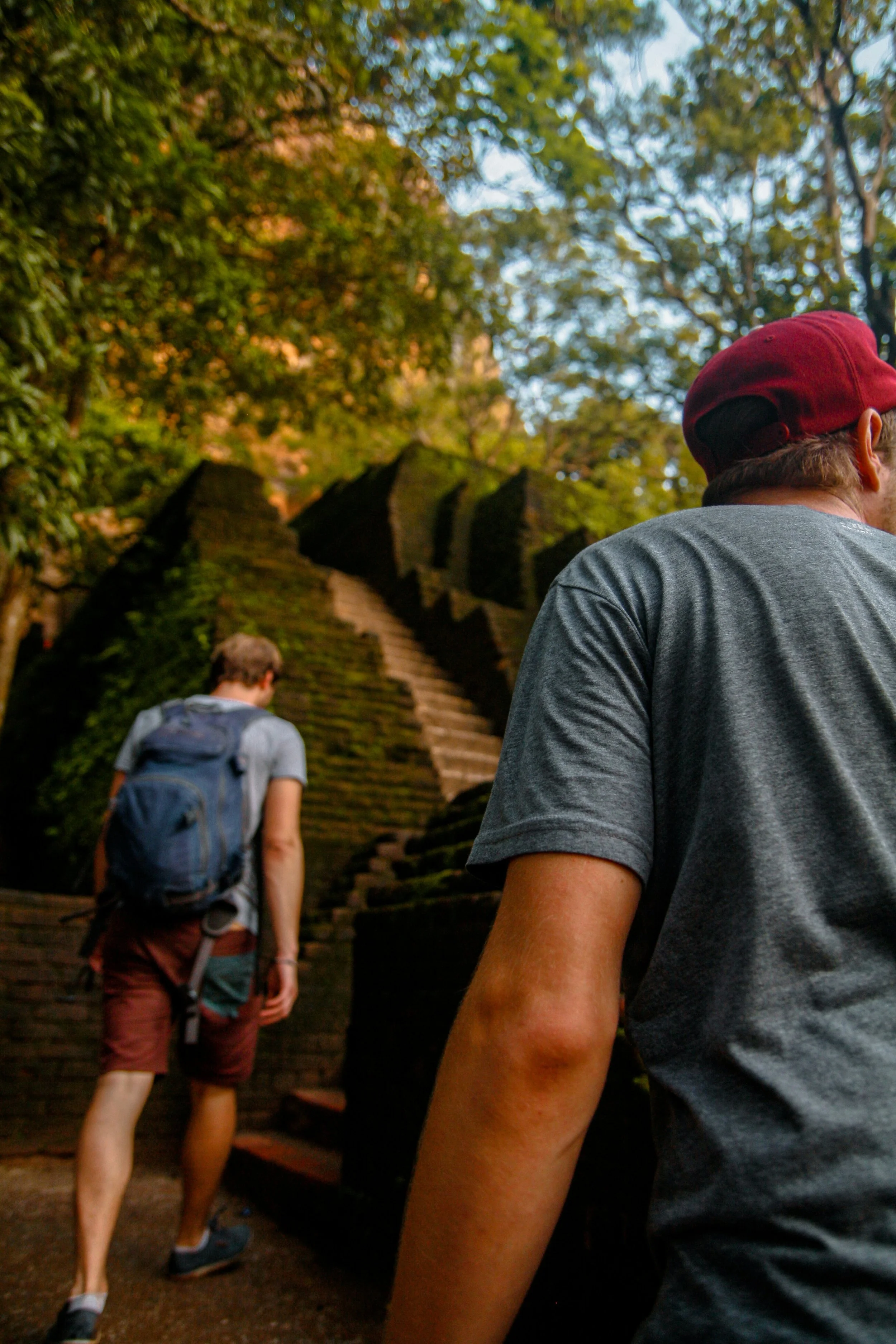Two young men hiking up moss-covered steps in a forested area, with tall trees and sunlight filtering through the leaves.
