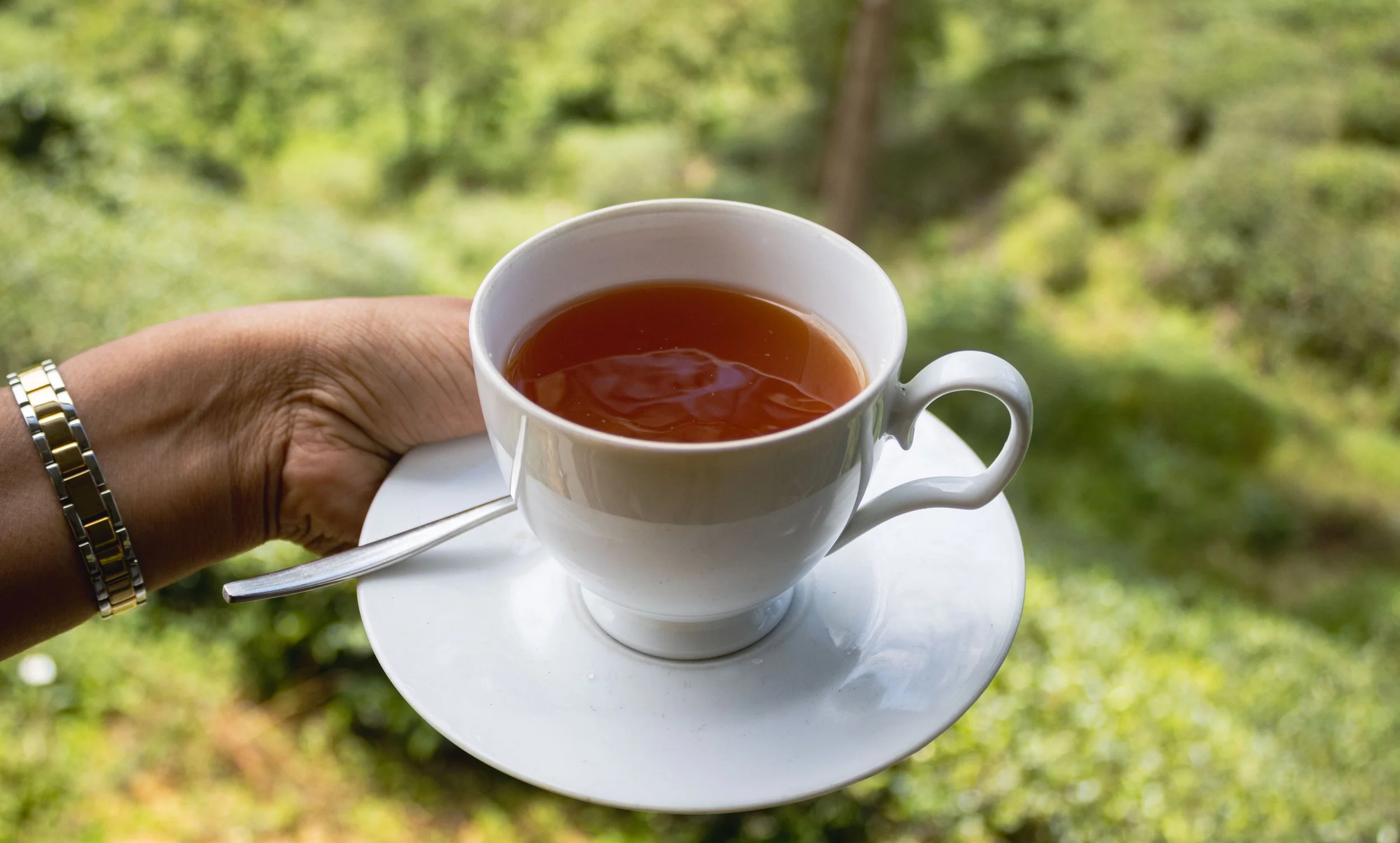 Person holding a white teacup filled with tea on a saucer with a silver spoon, outdoors with green trees in the background.