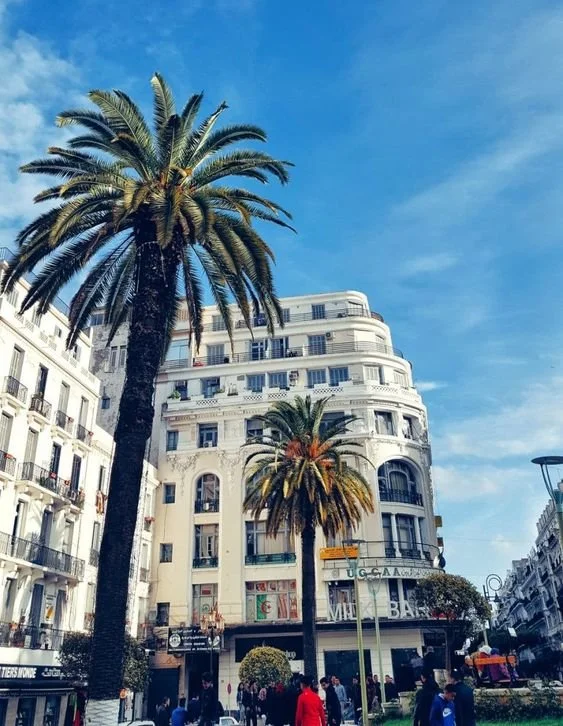 City street with large palm trees in front of a white multi-story building with rounded edges, balconies, and retail shops at street level, under a blue sky.
