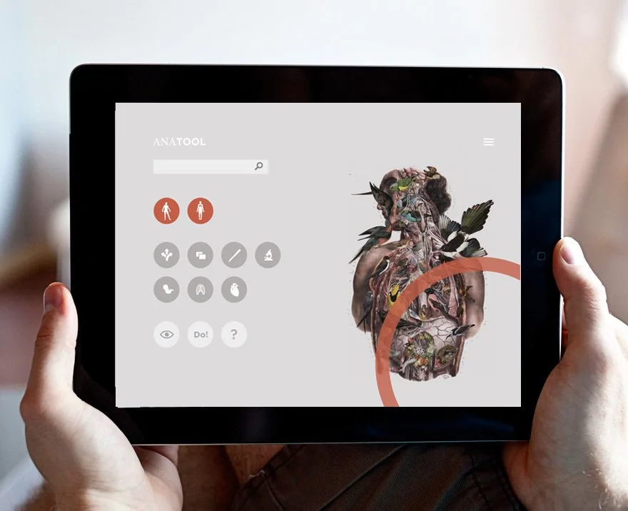 Leiden University Medical Center | App design