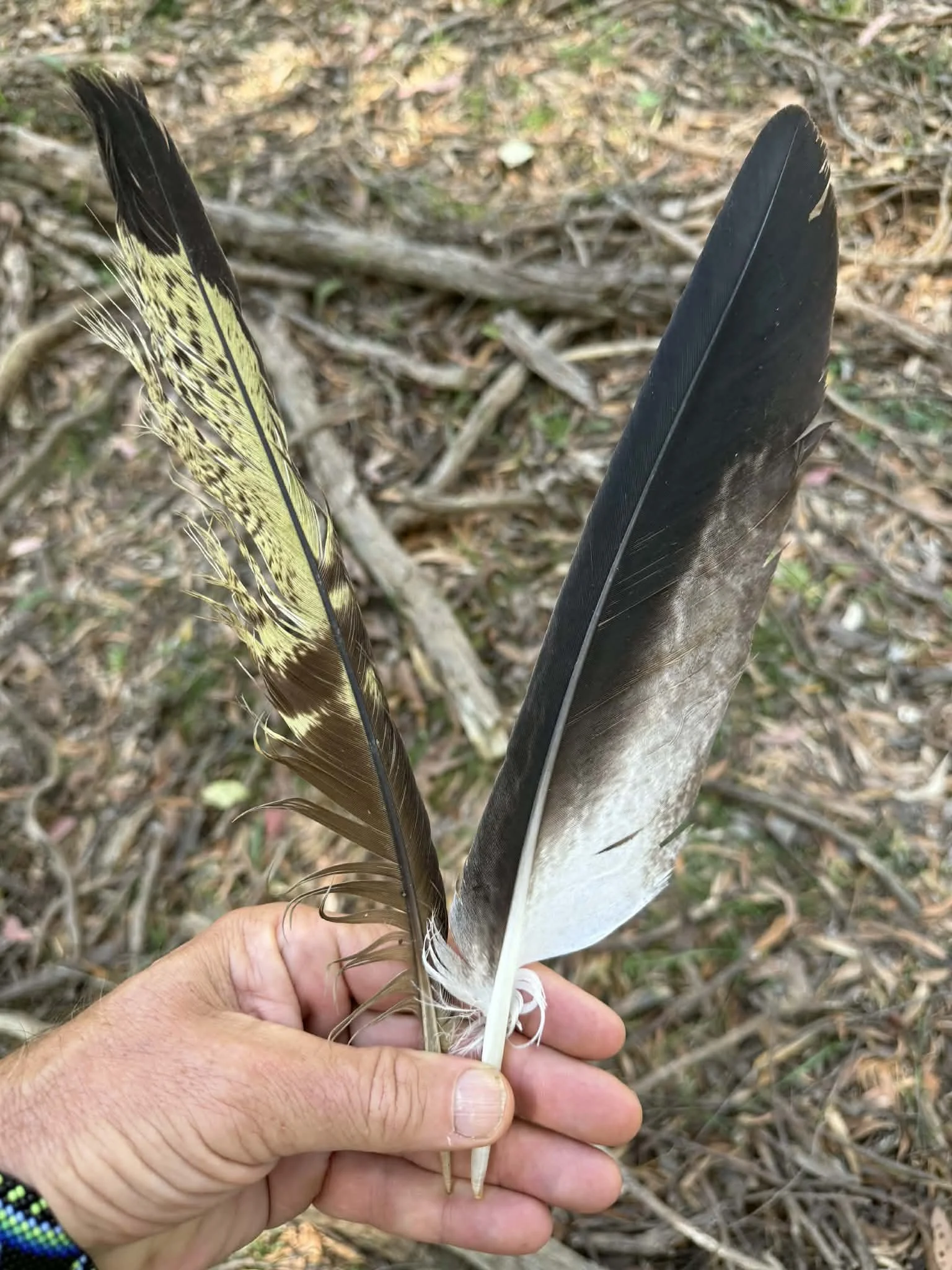 Special day, no words